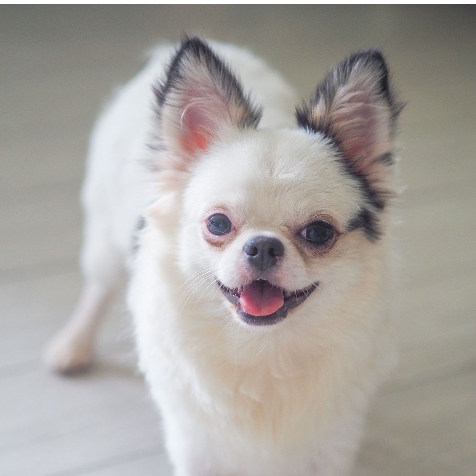 Billy