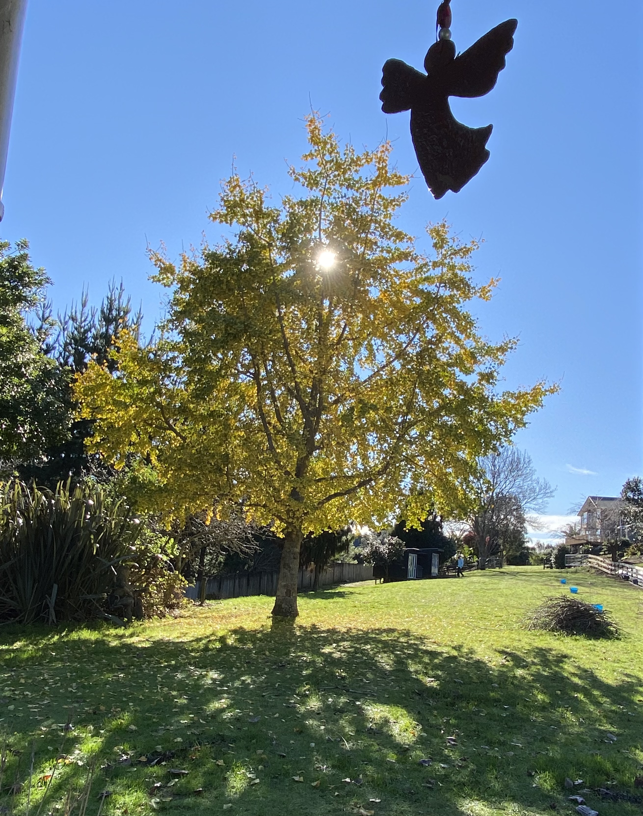 image-14