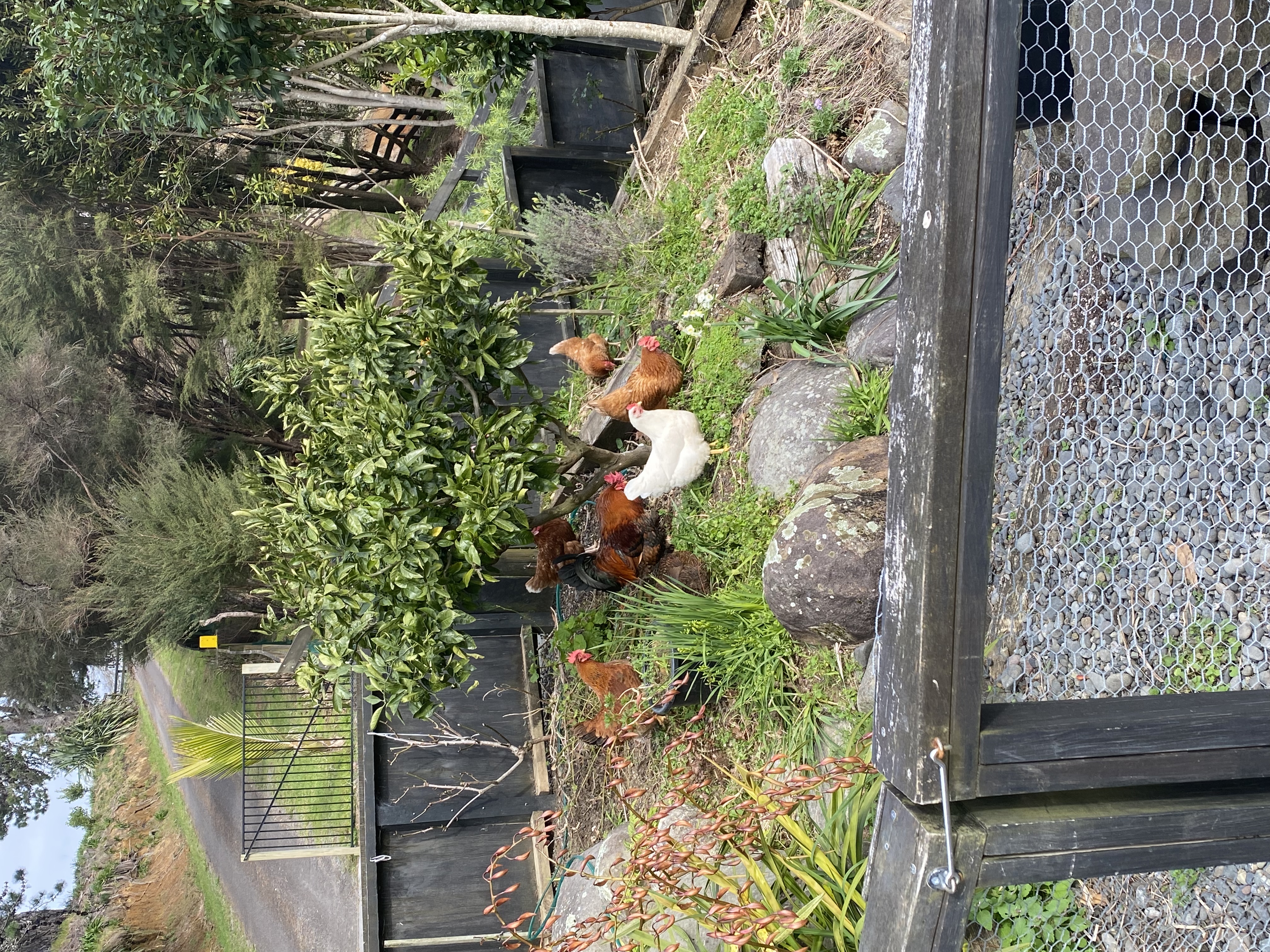 image-11