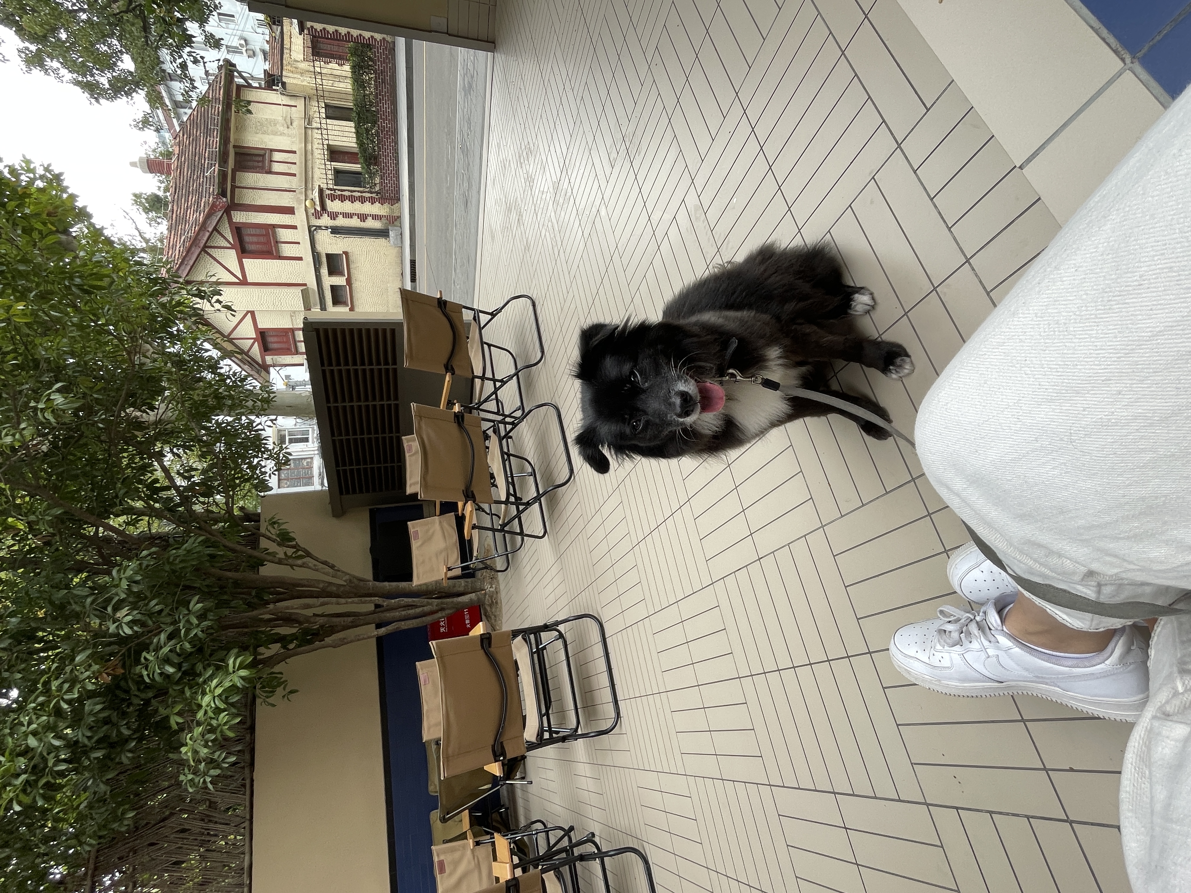 image-2