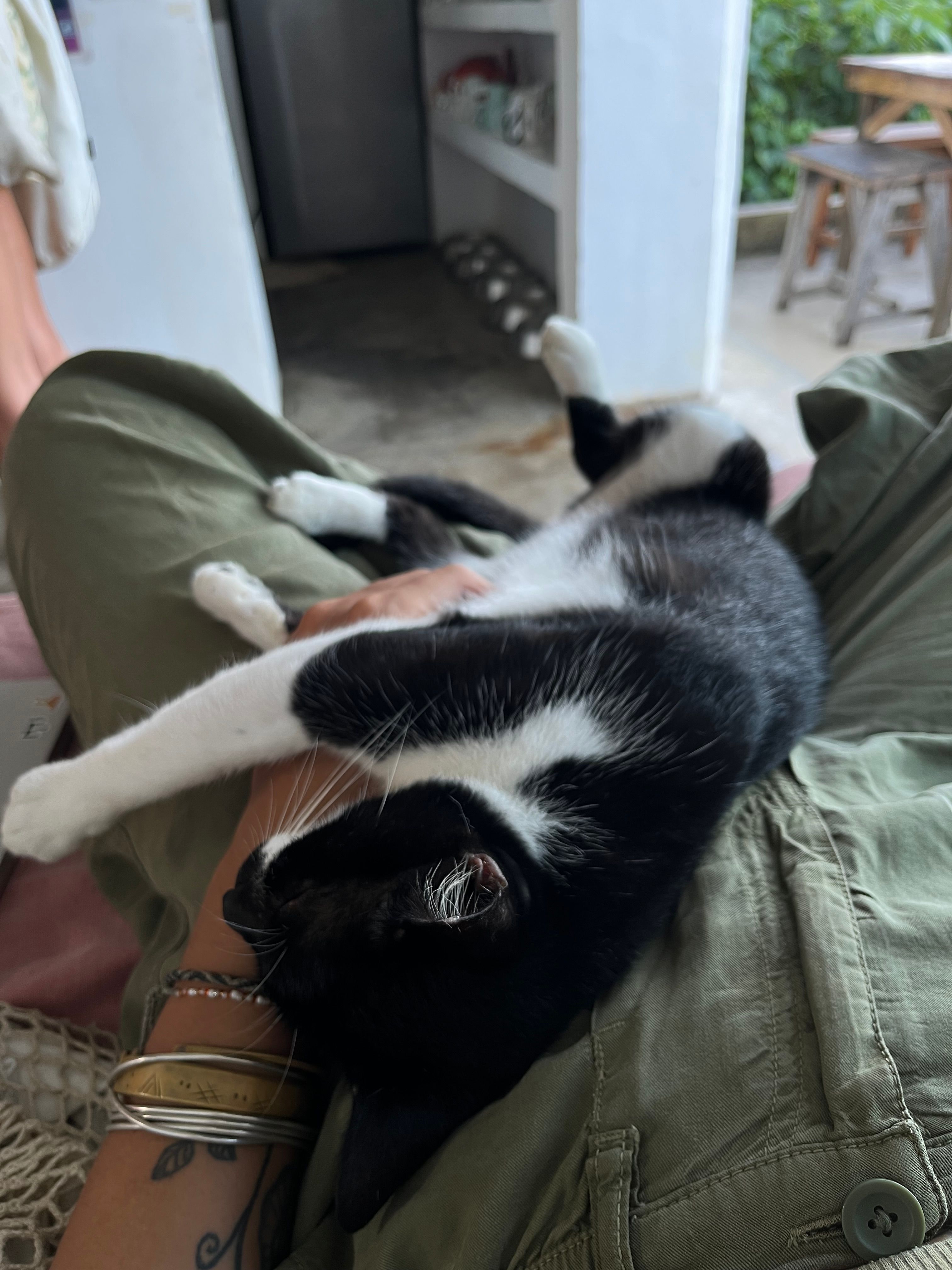 image-6