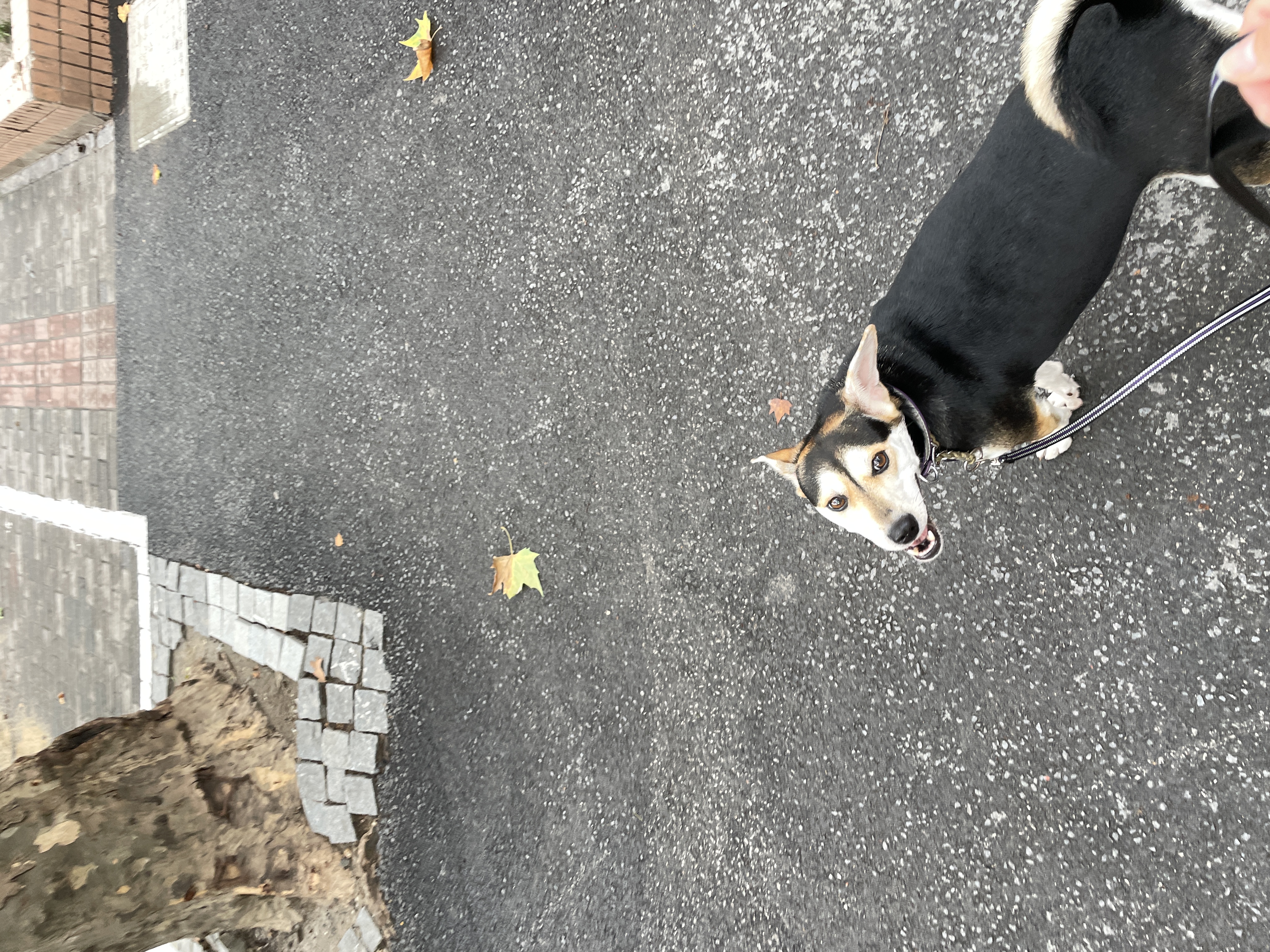 image-8