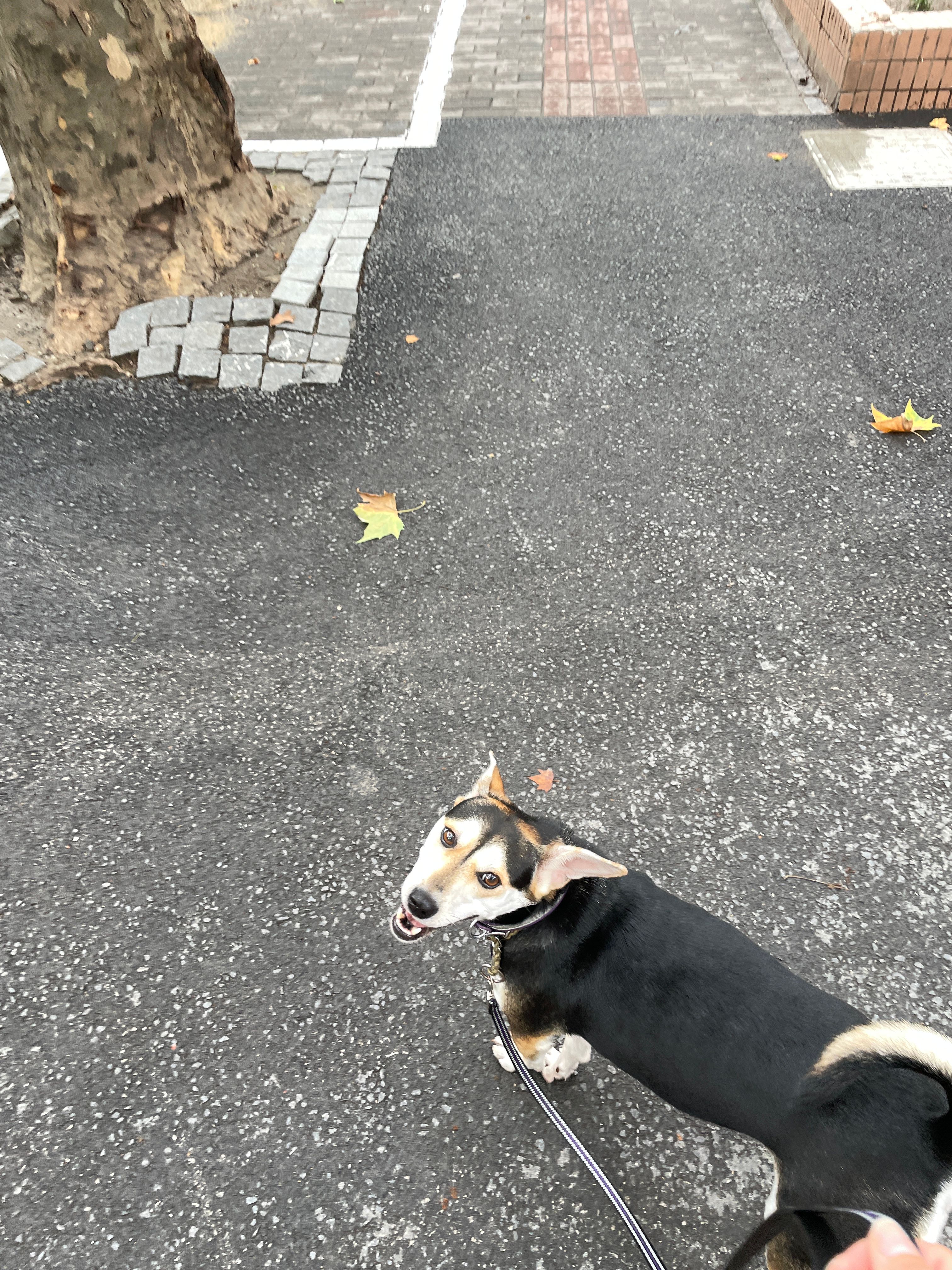 image-8
