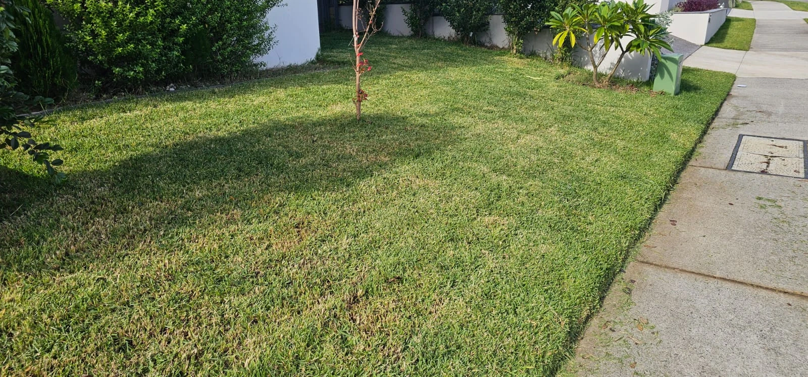 image-14