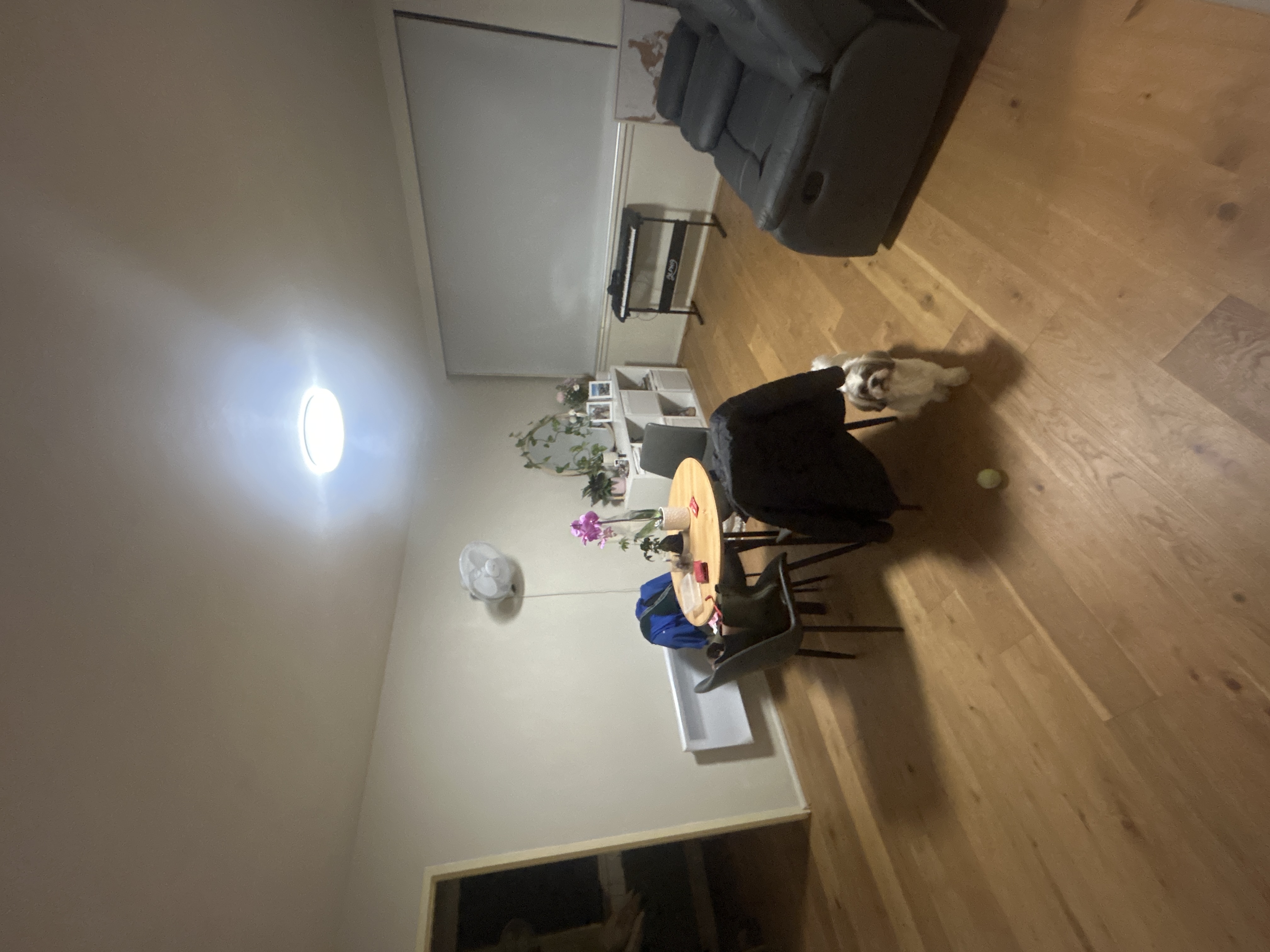 image-13