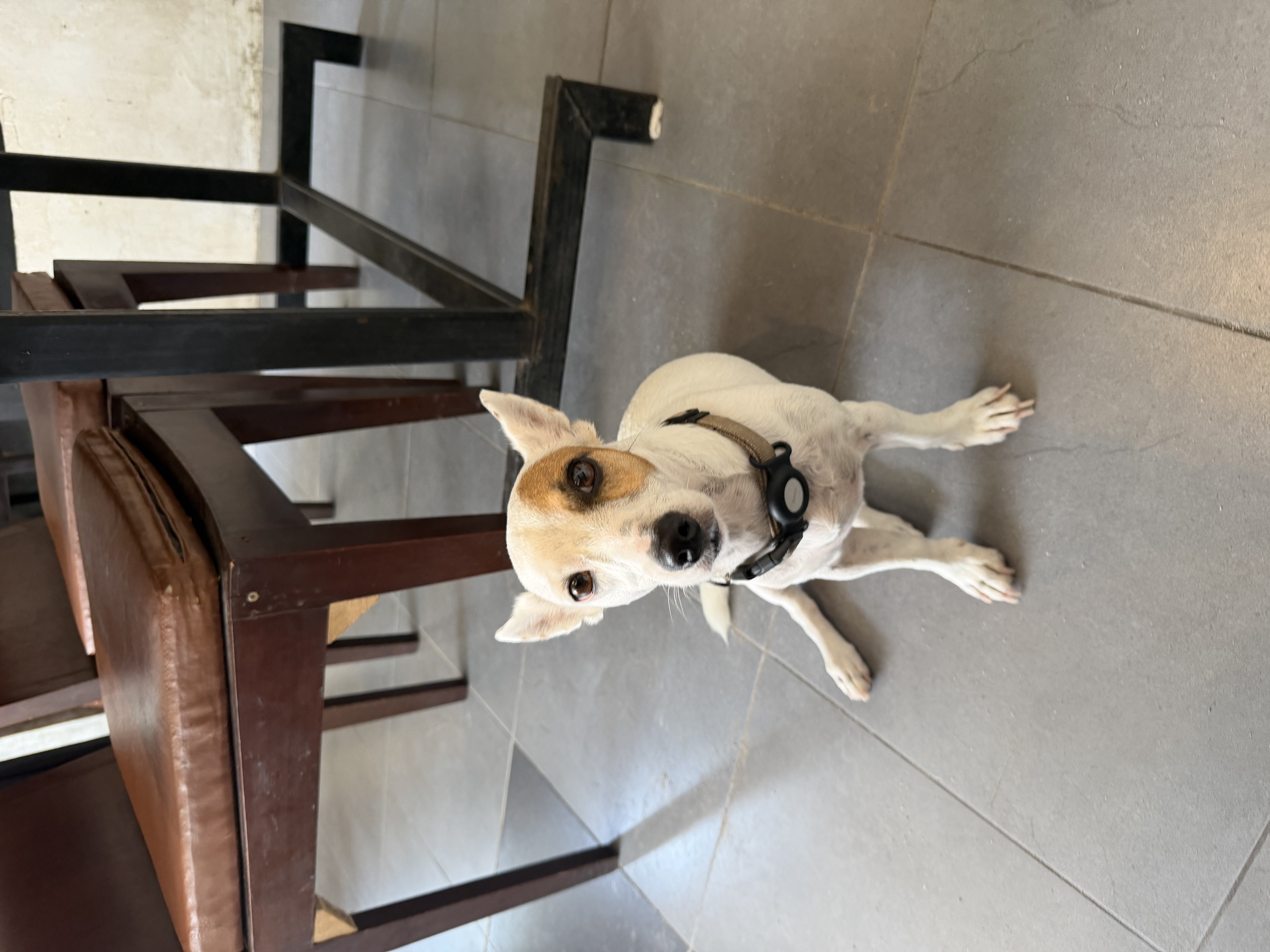 image-6