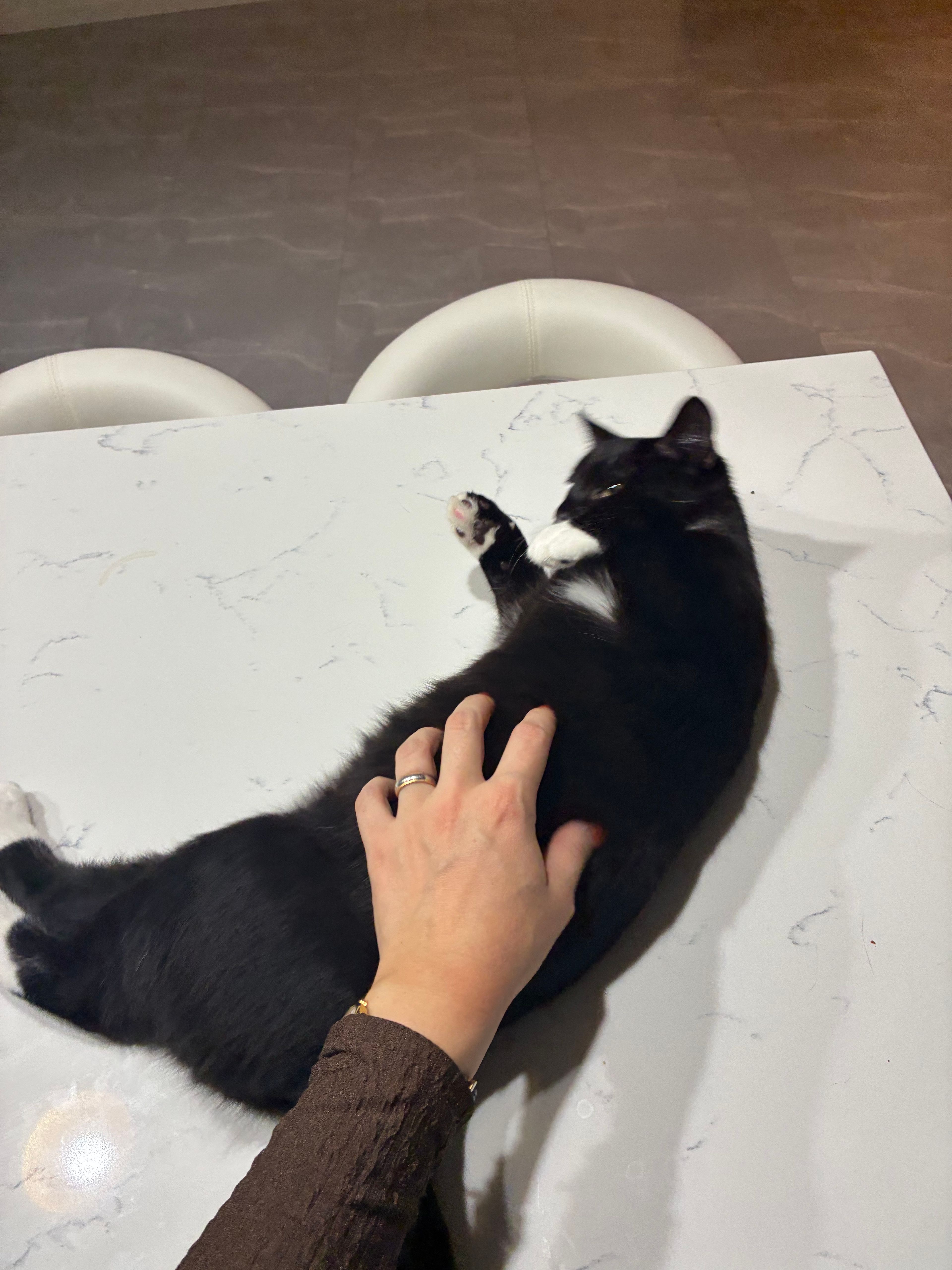 image-6