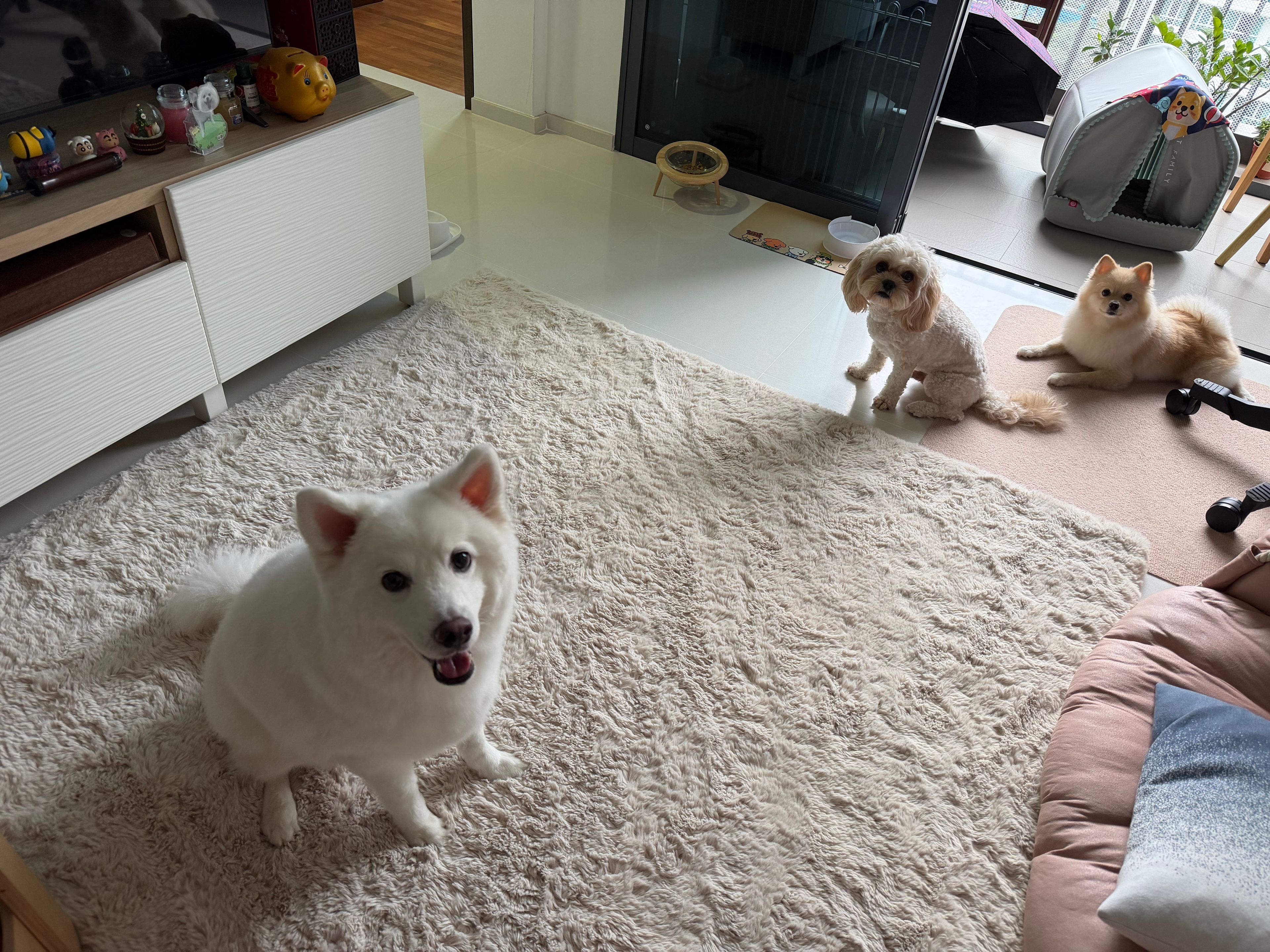 image-7