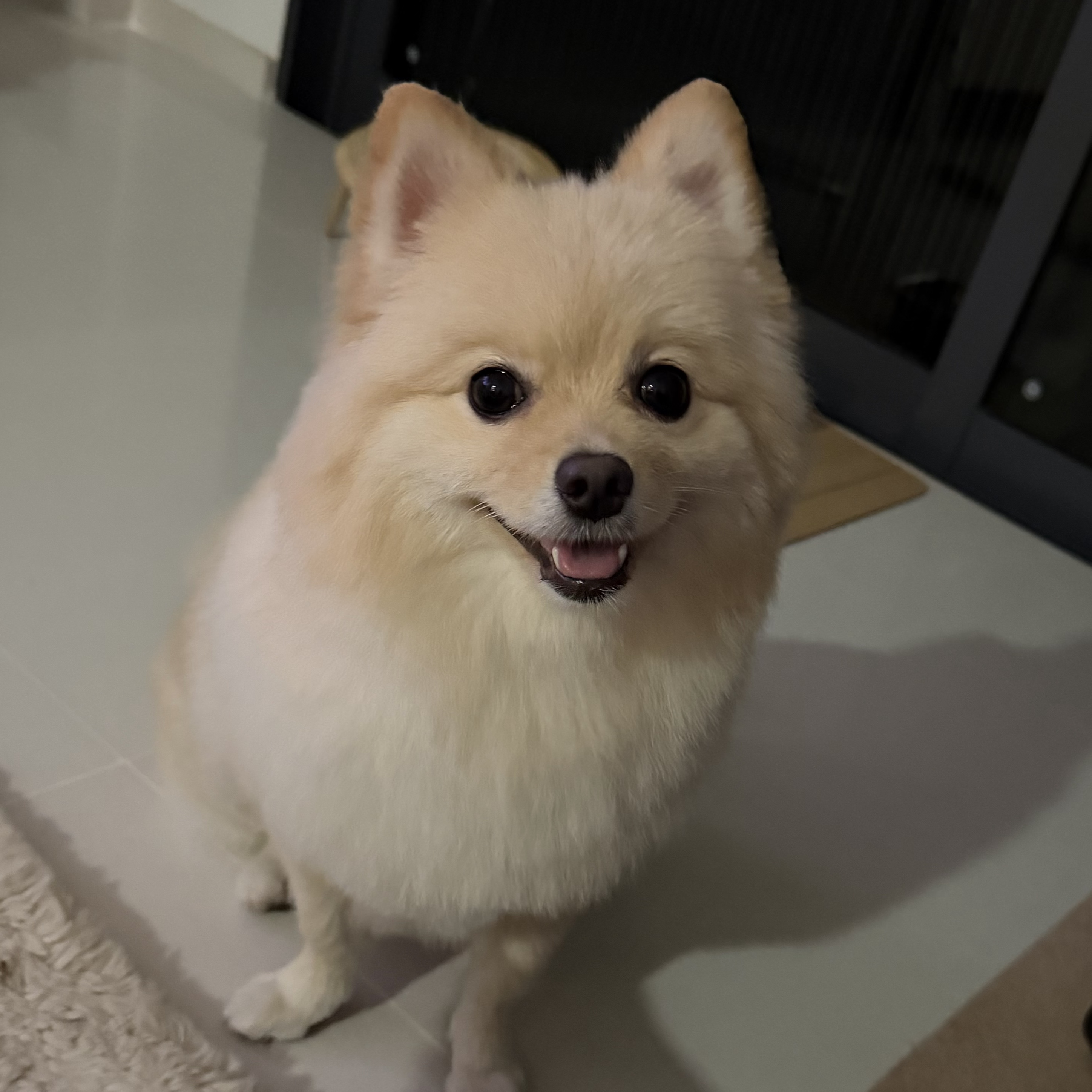Happy