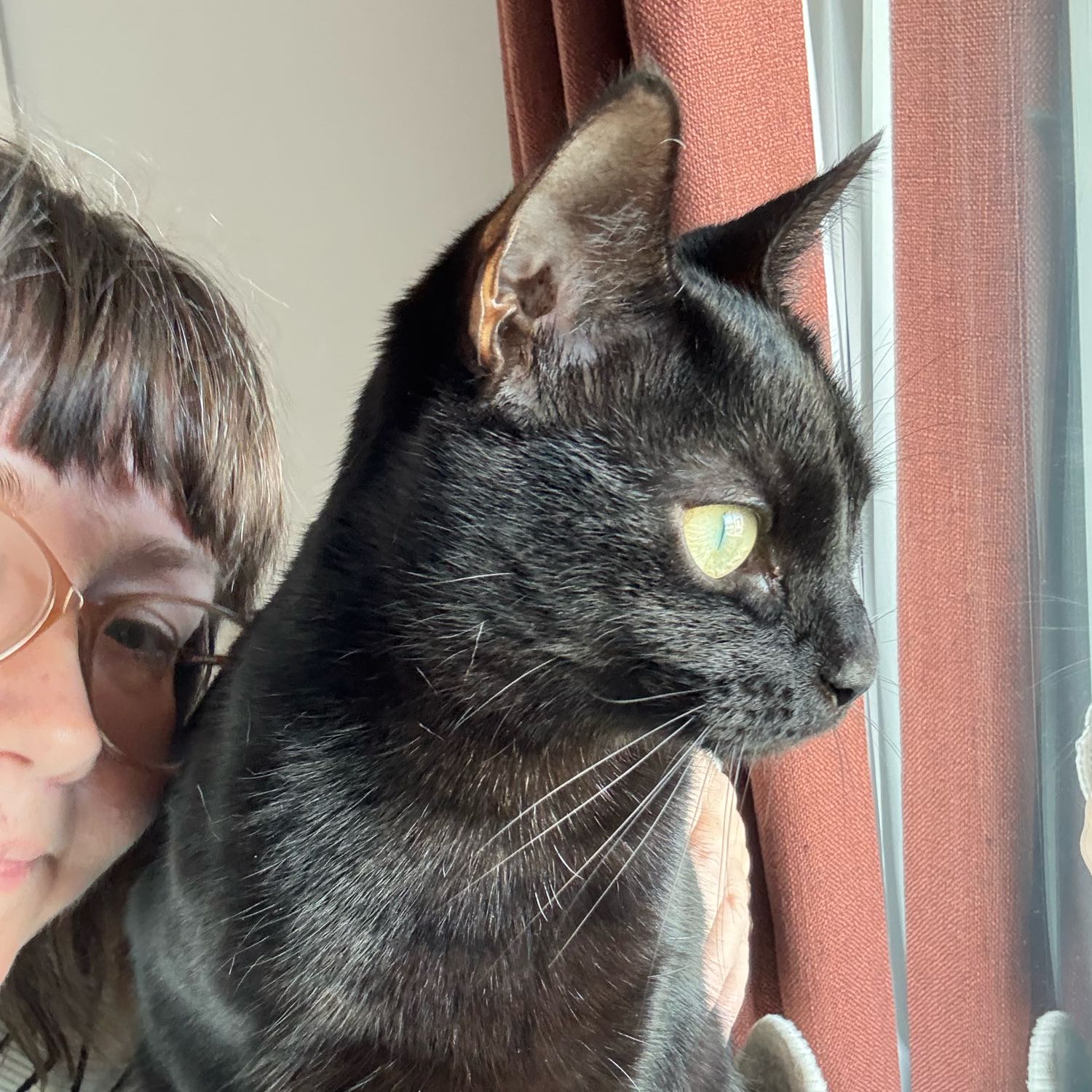 Josie