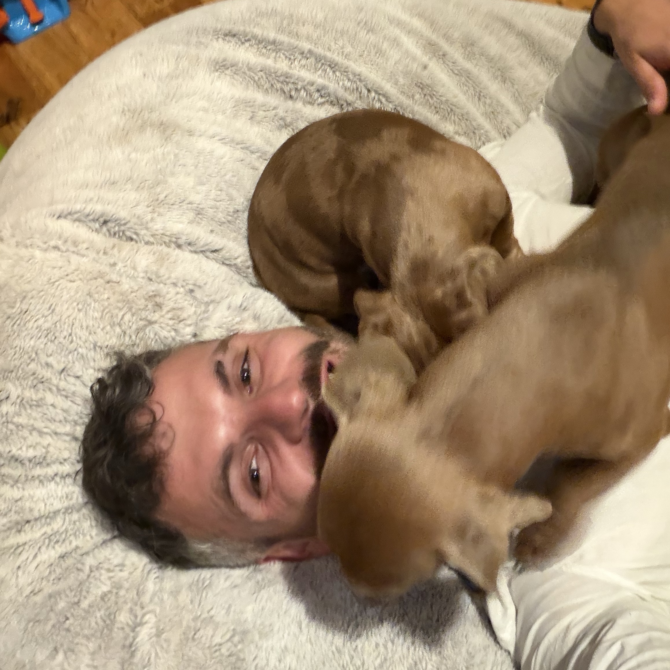 Max