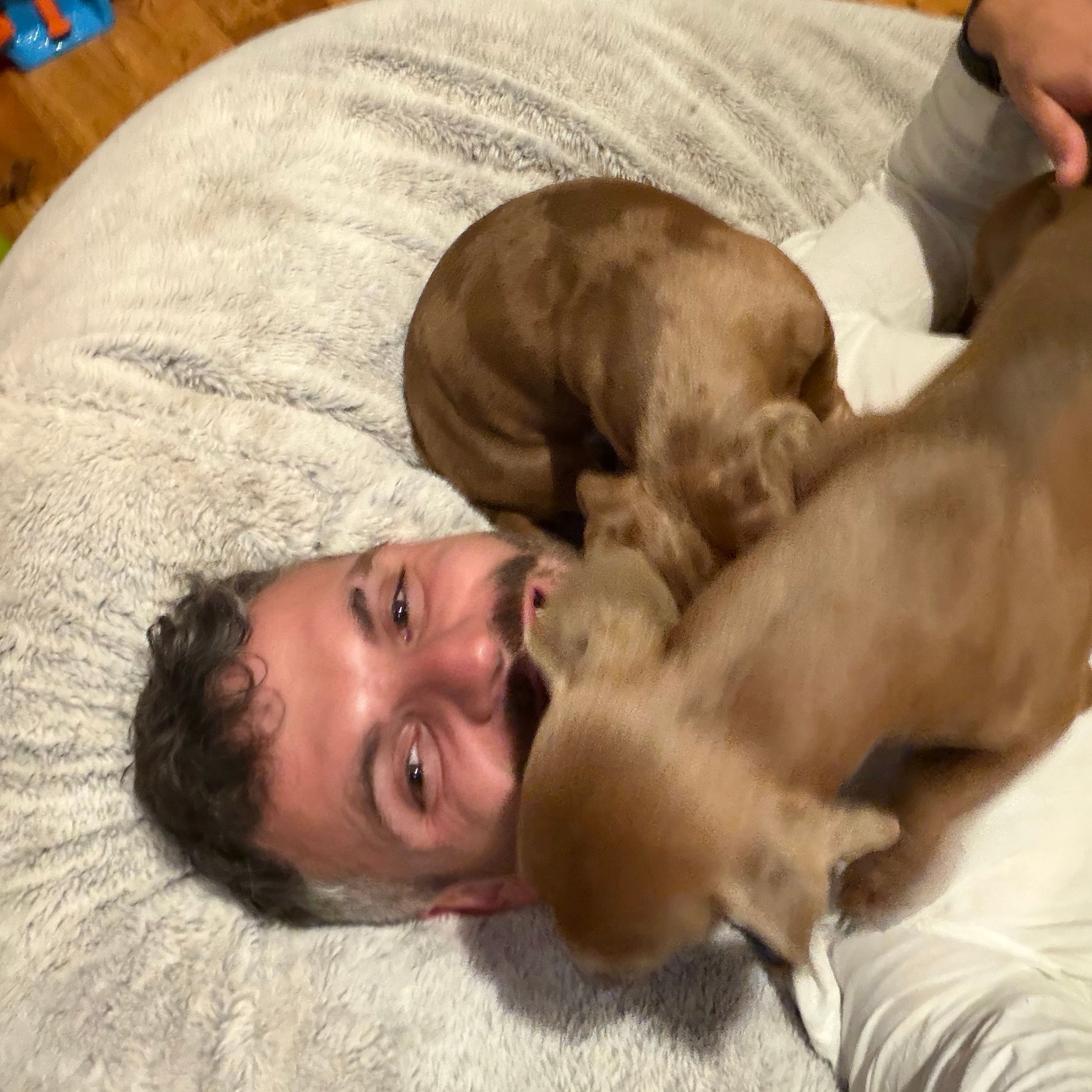 Max