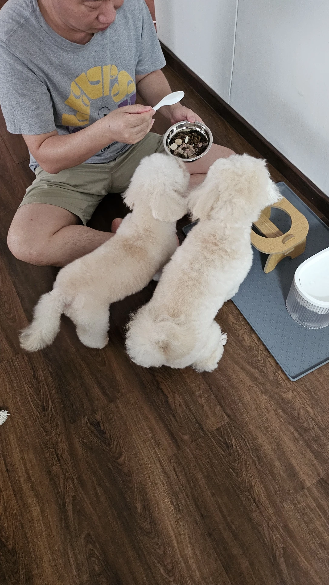 image-17