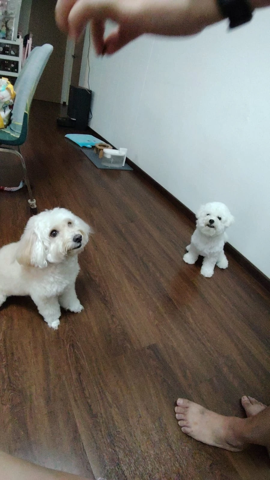 image-10