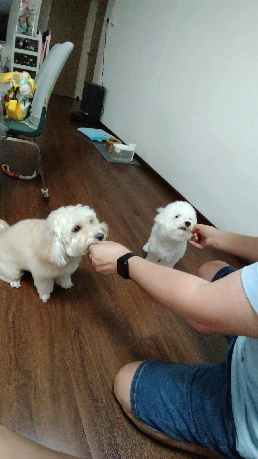 image-11