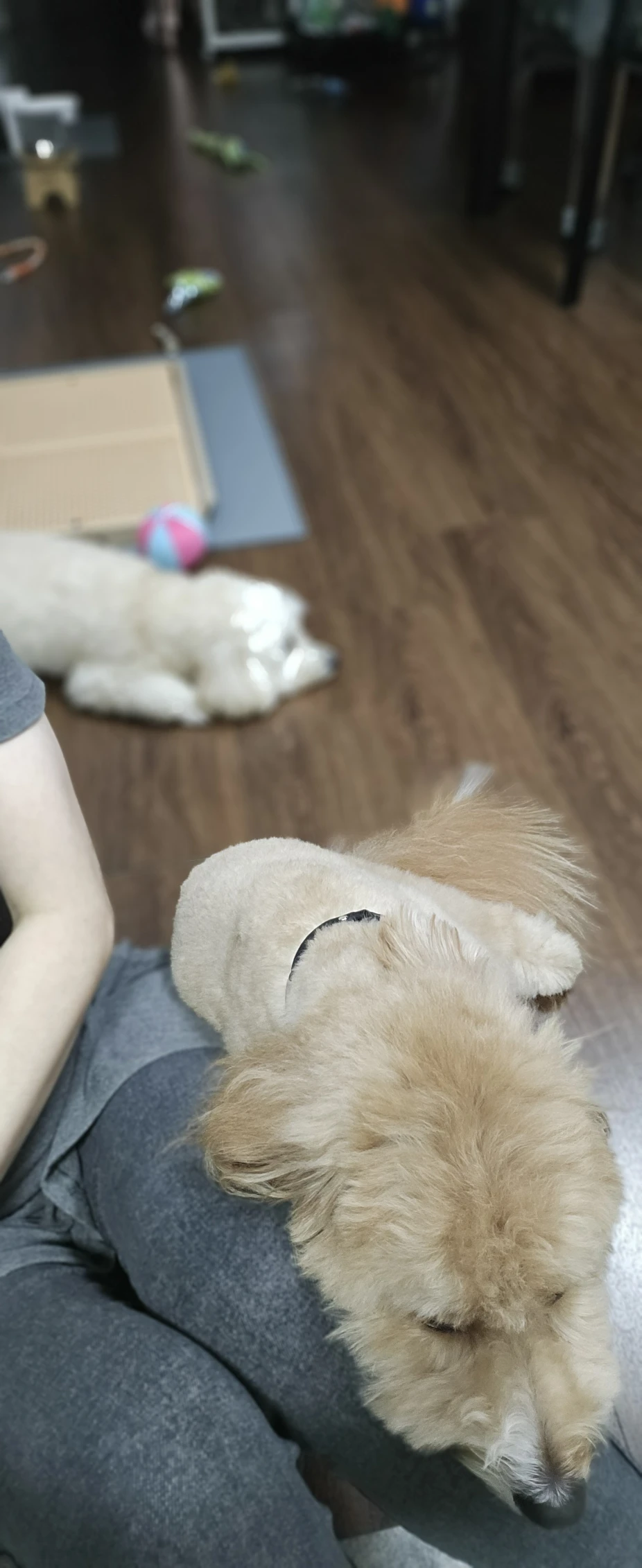image-4