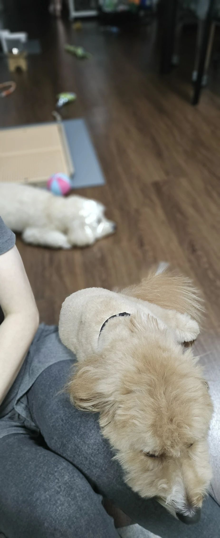 image-4