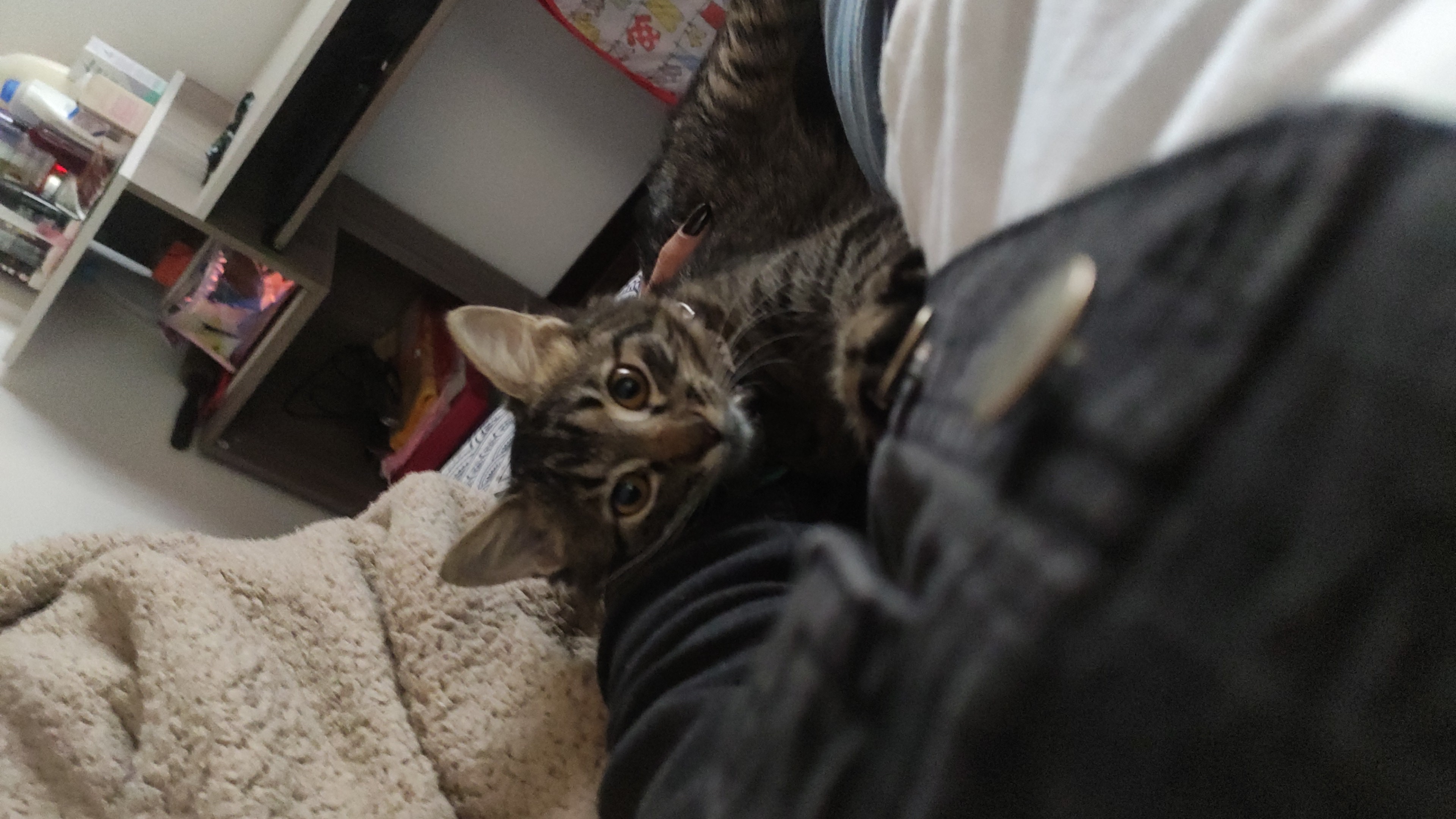 image-6
