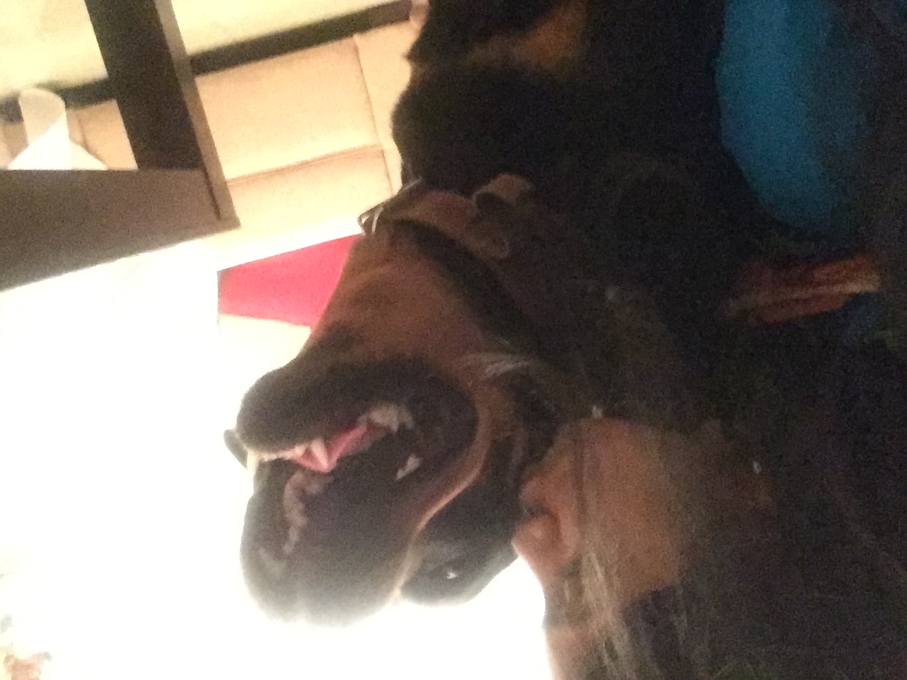 image-5