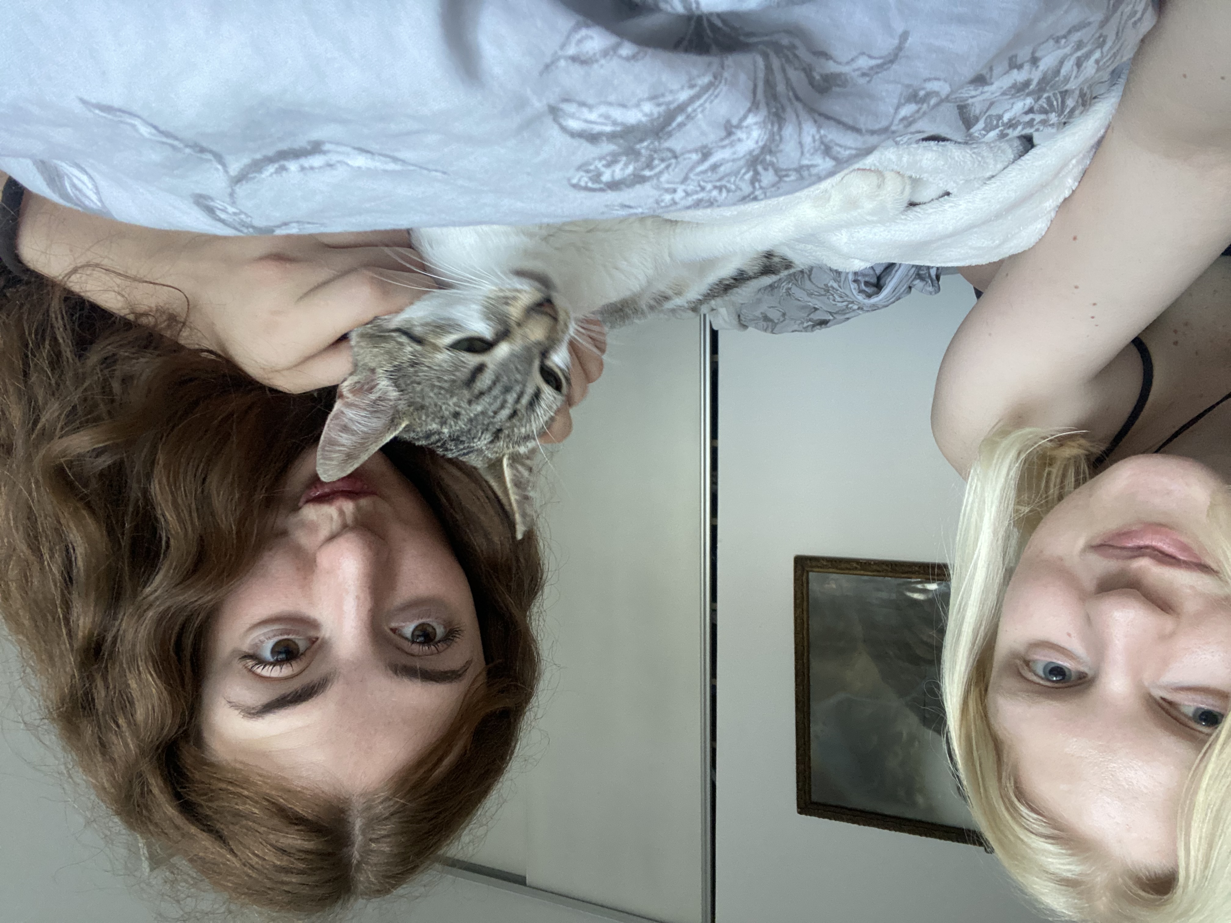 image-5