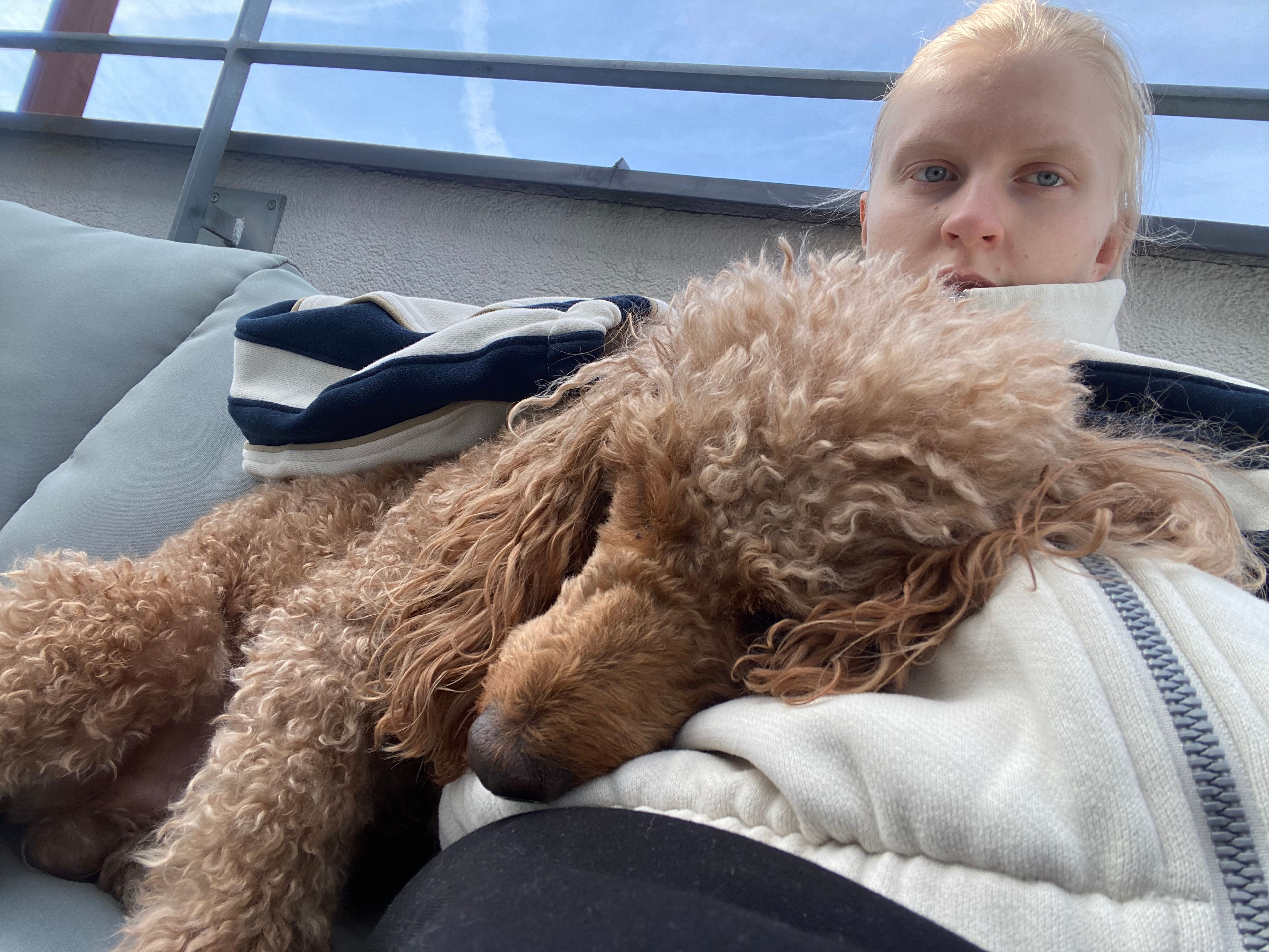 image-6