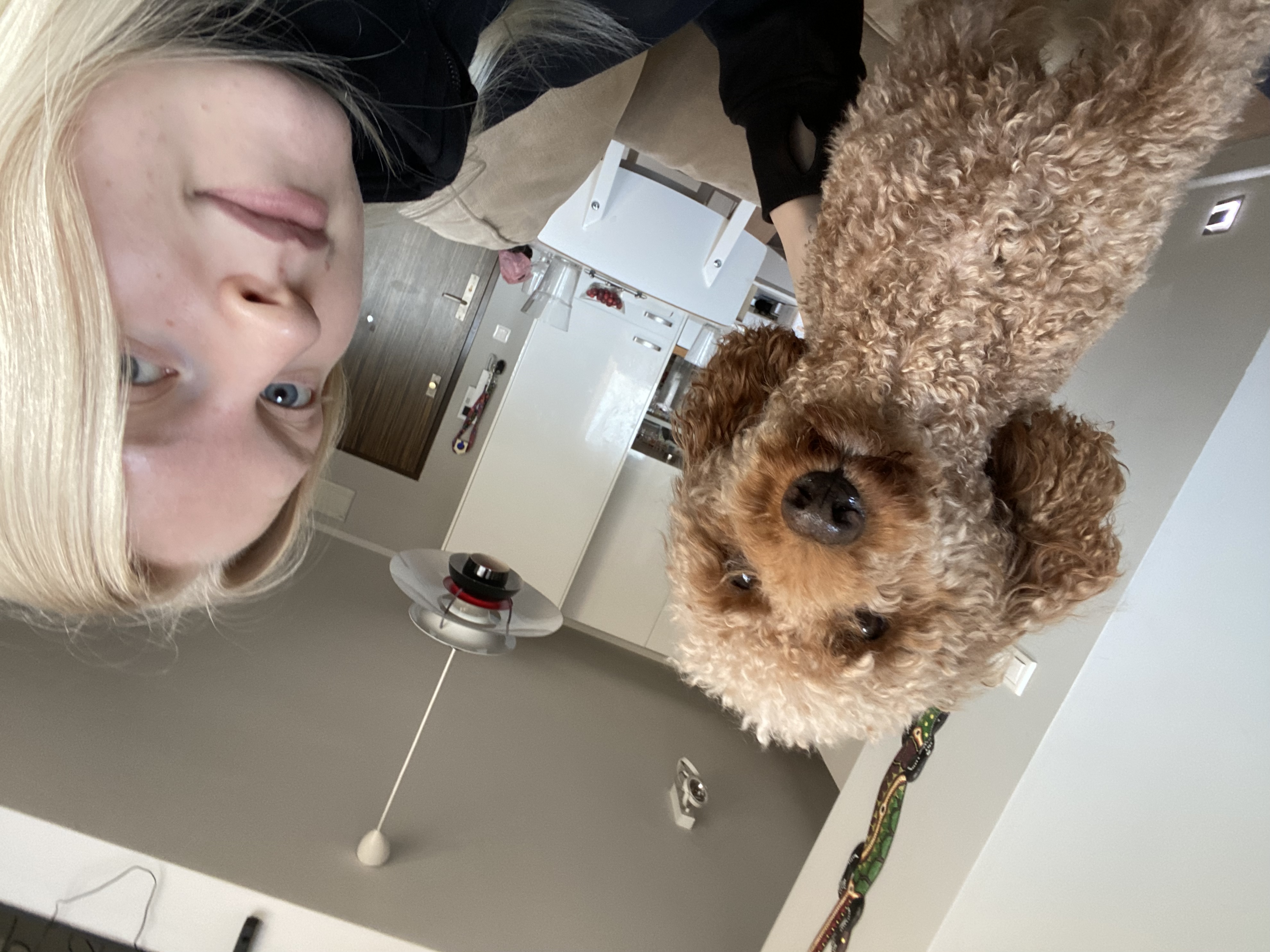 image-8