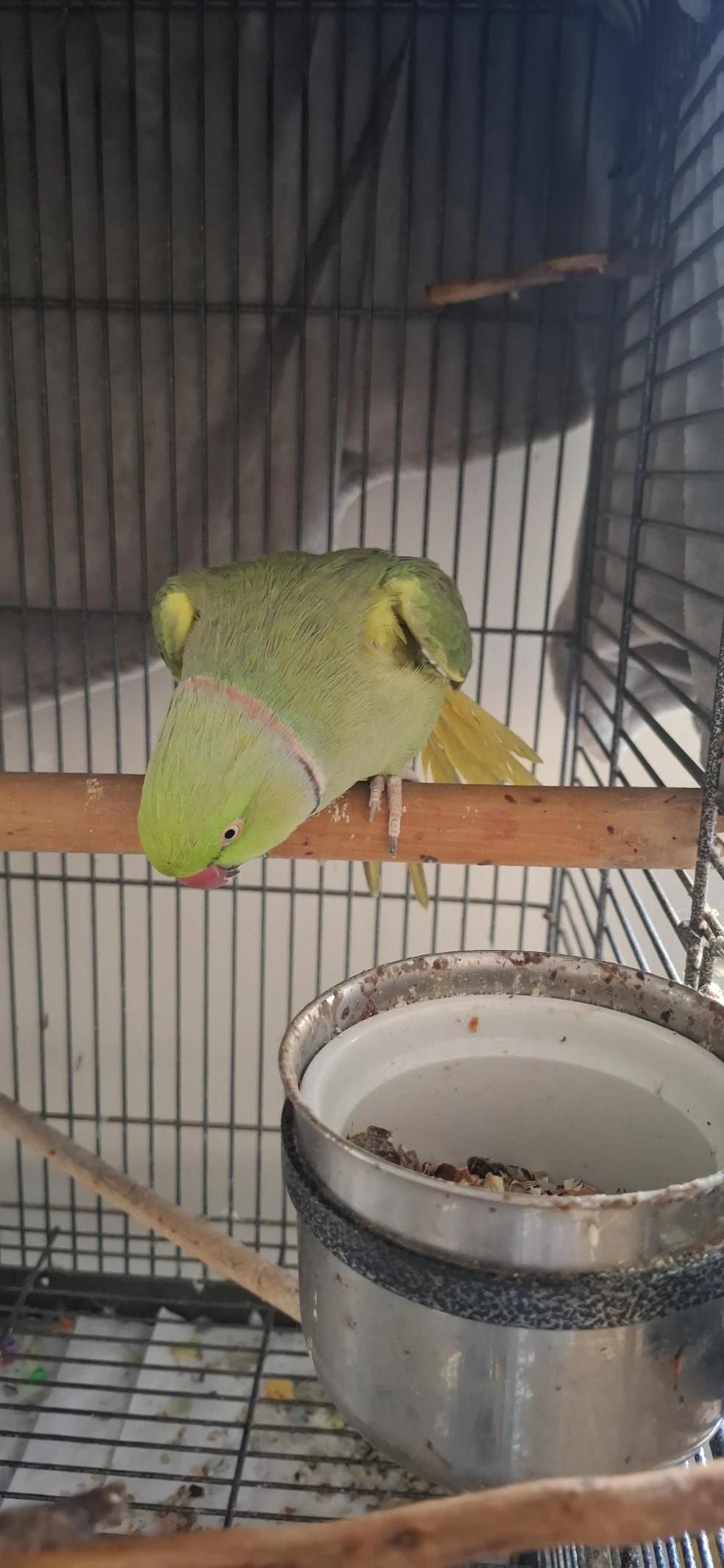 image-16