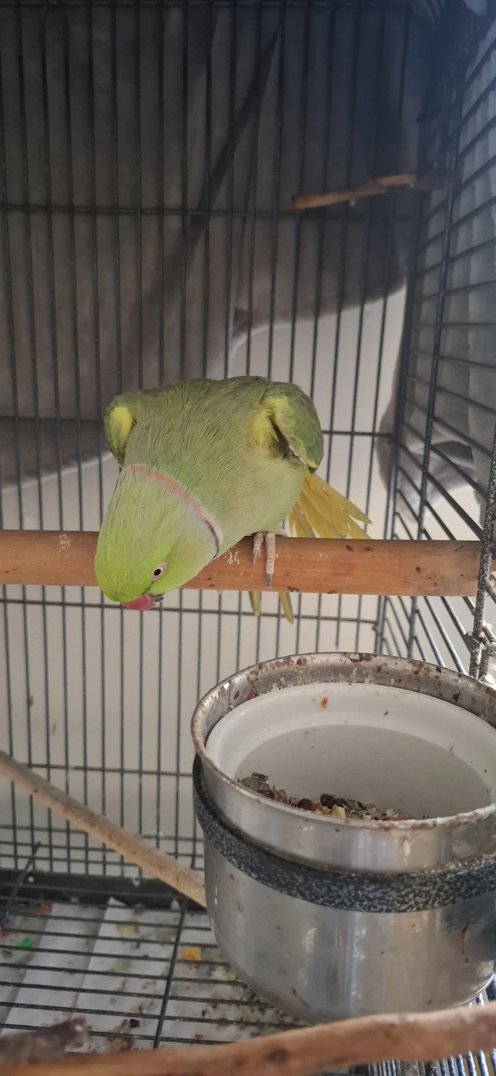 image-16
