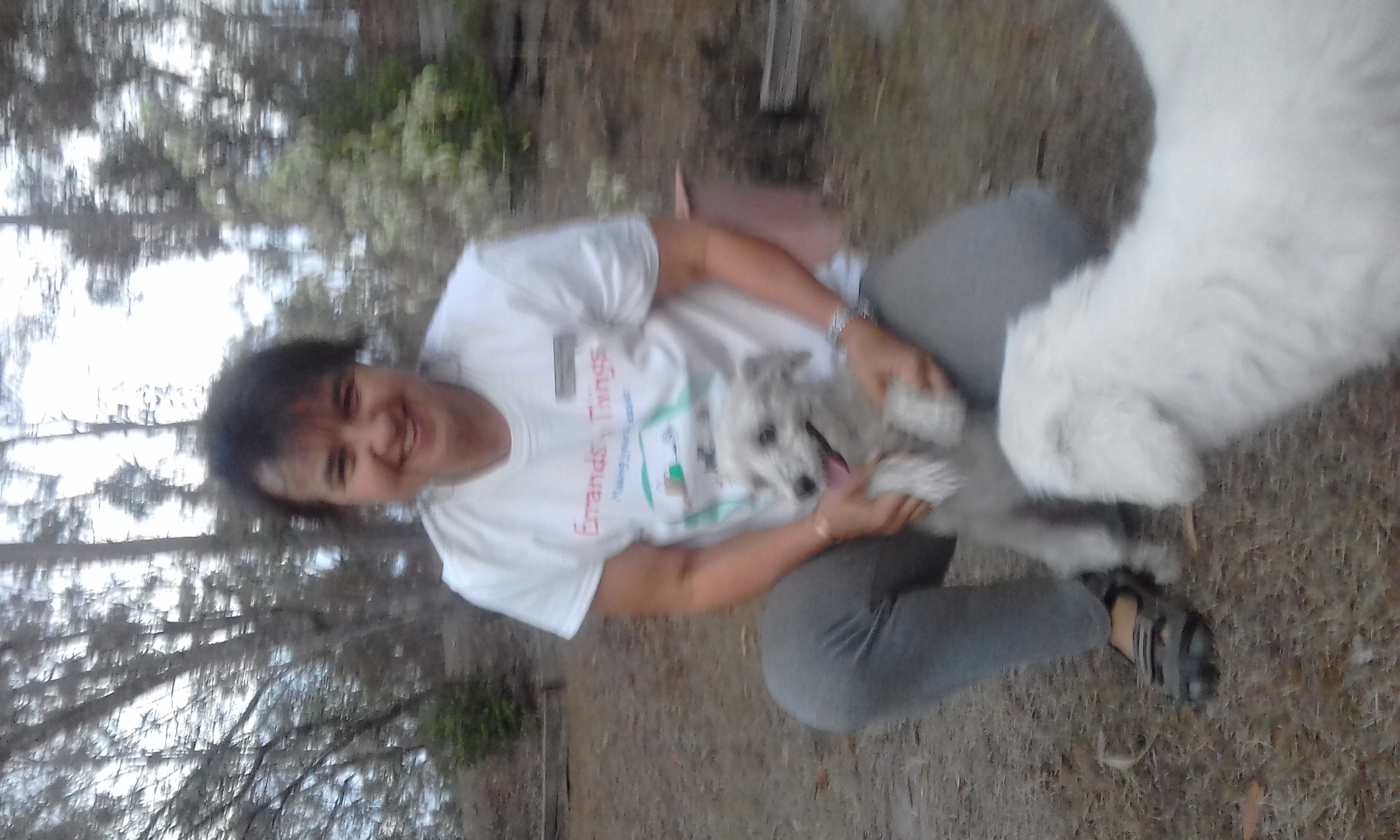 image-7