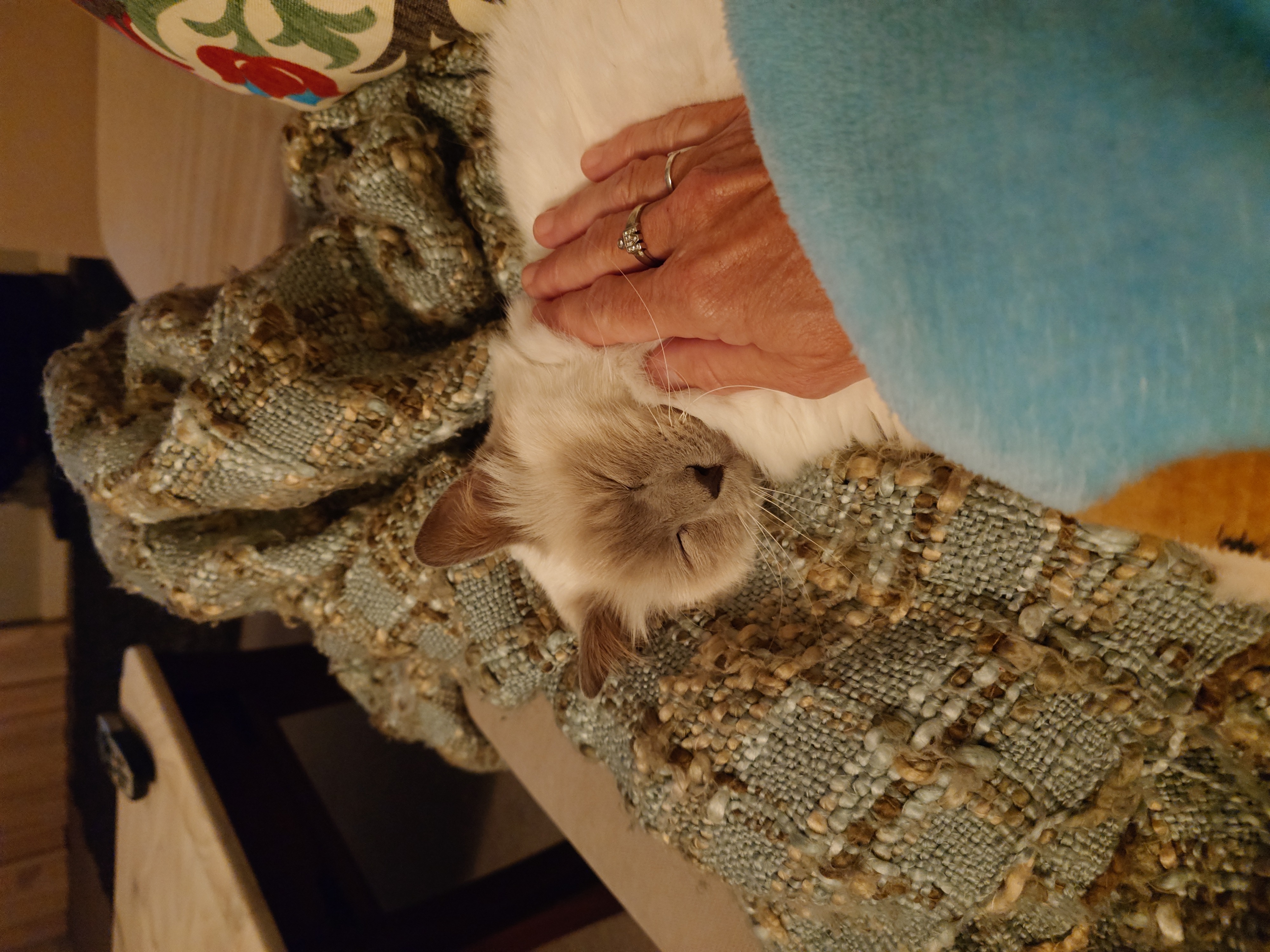 image-5