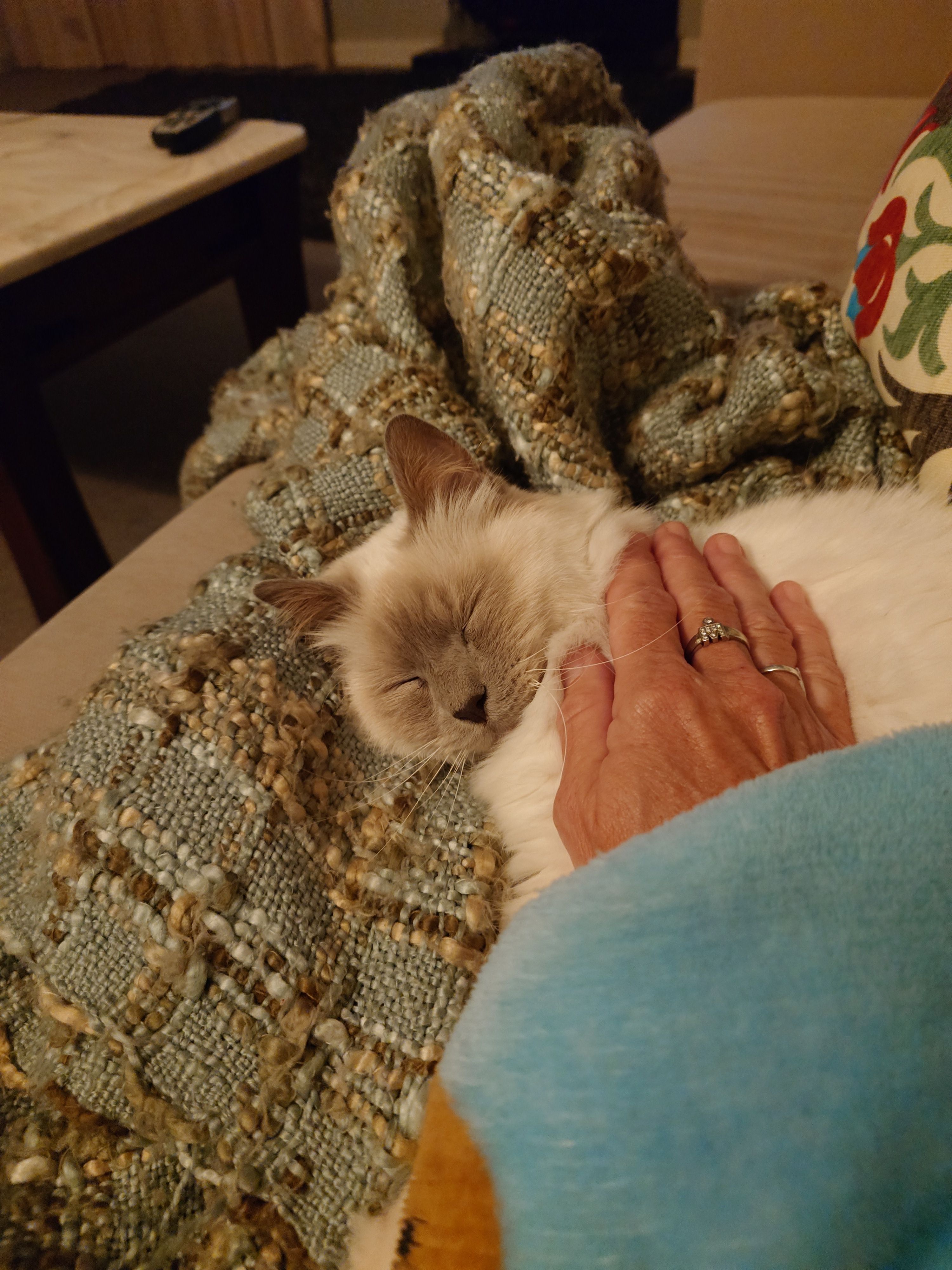 image-5
