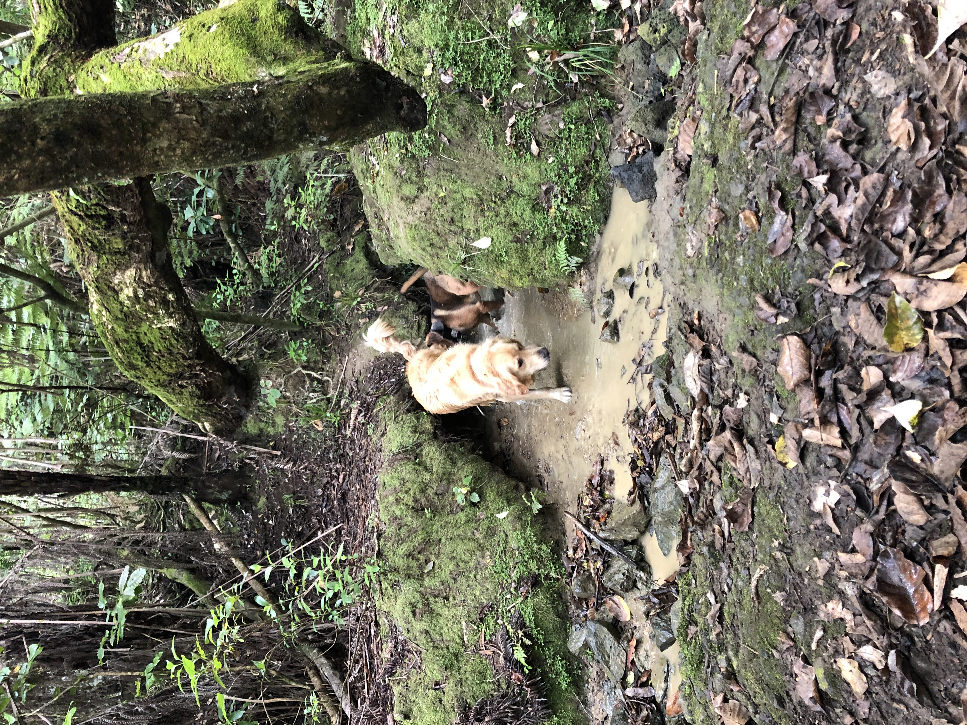 image-3