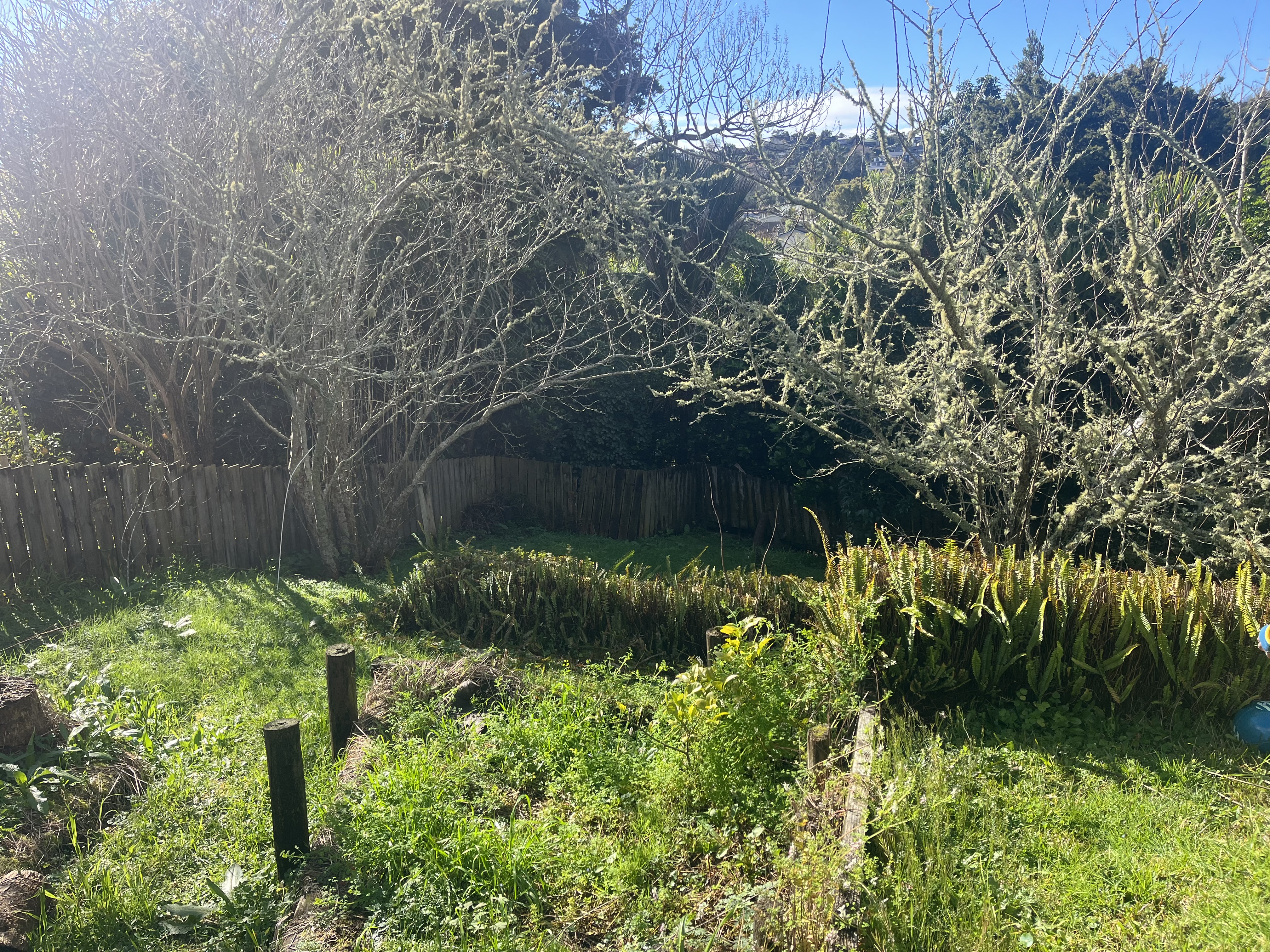 image-15