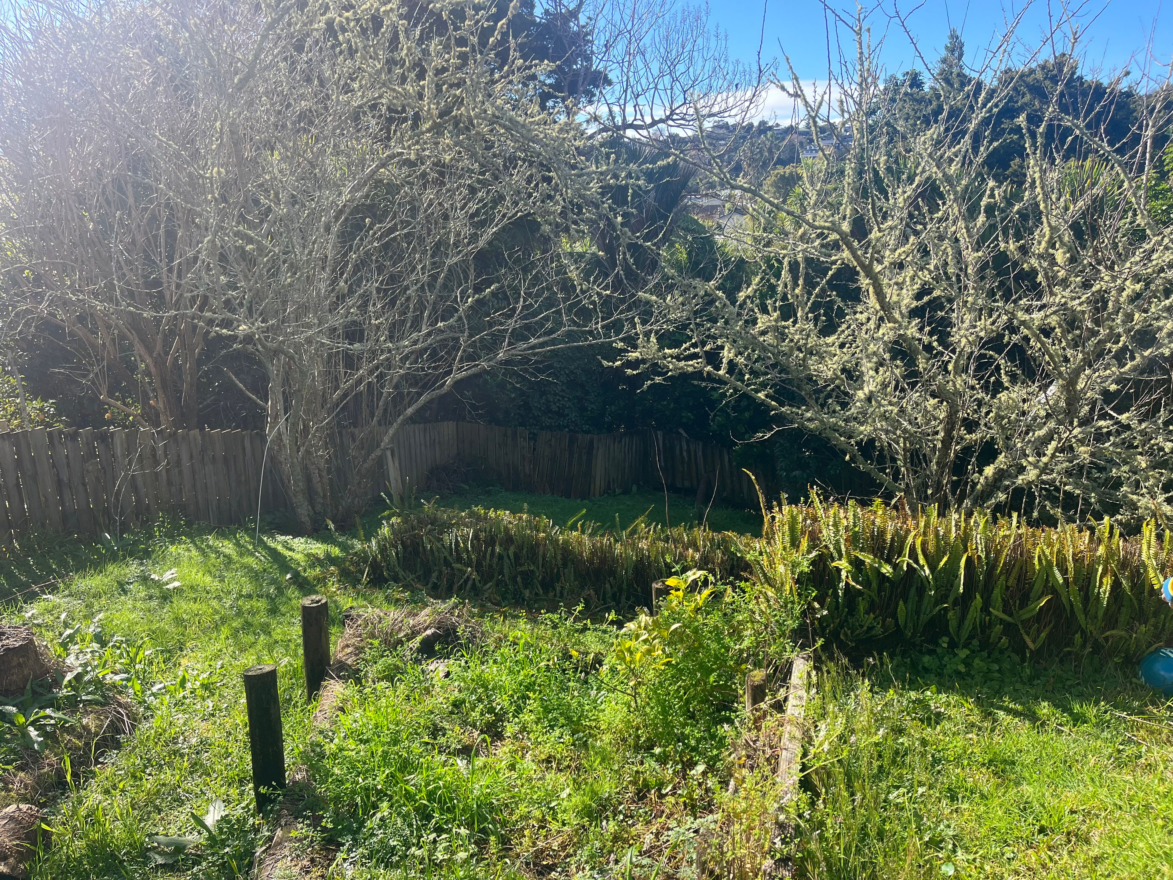 image-15