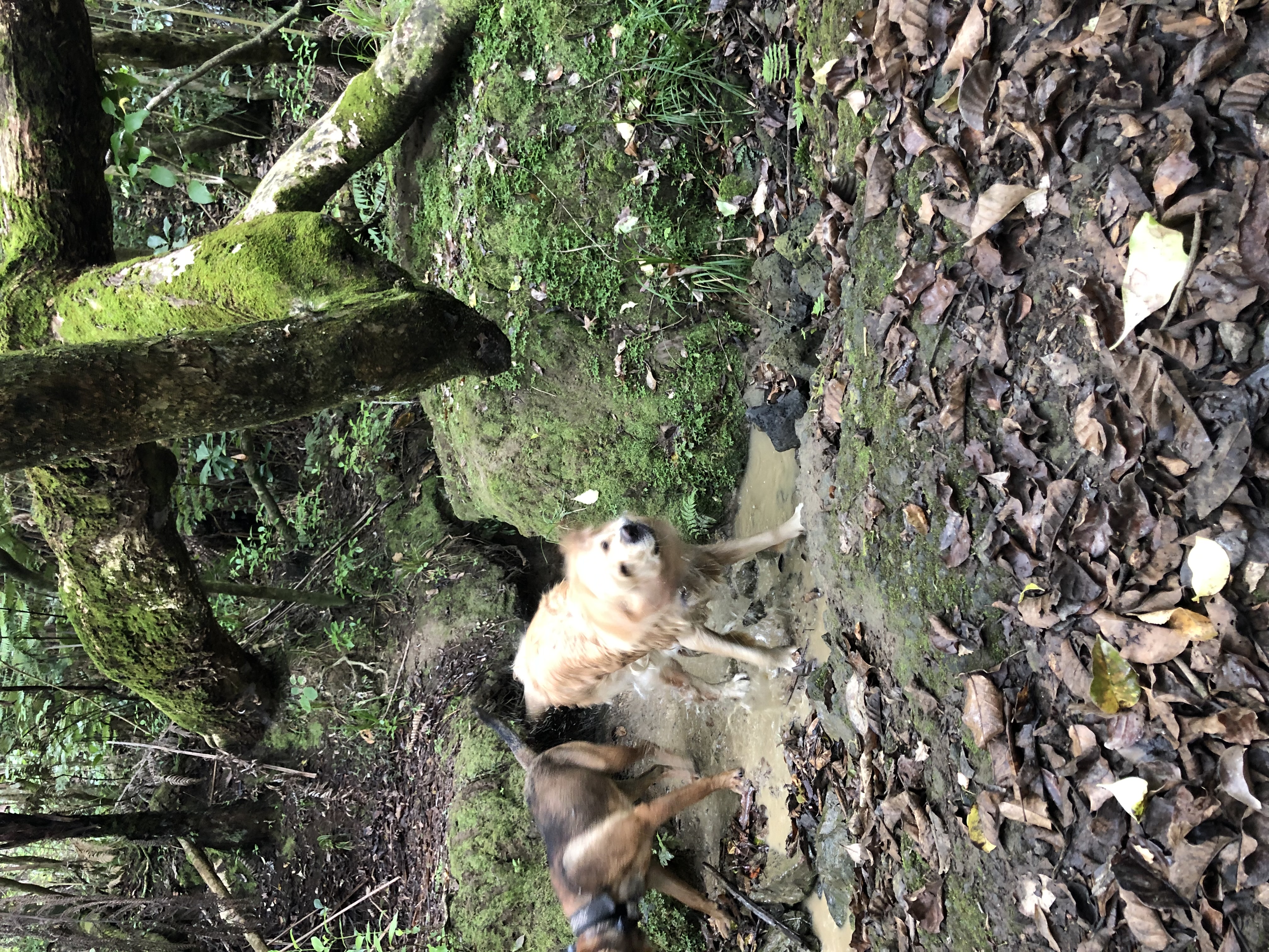 image-2