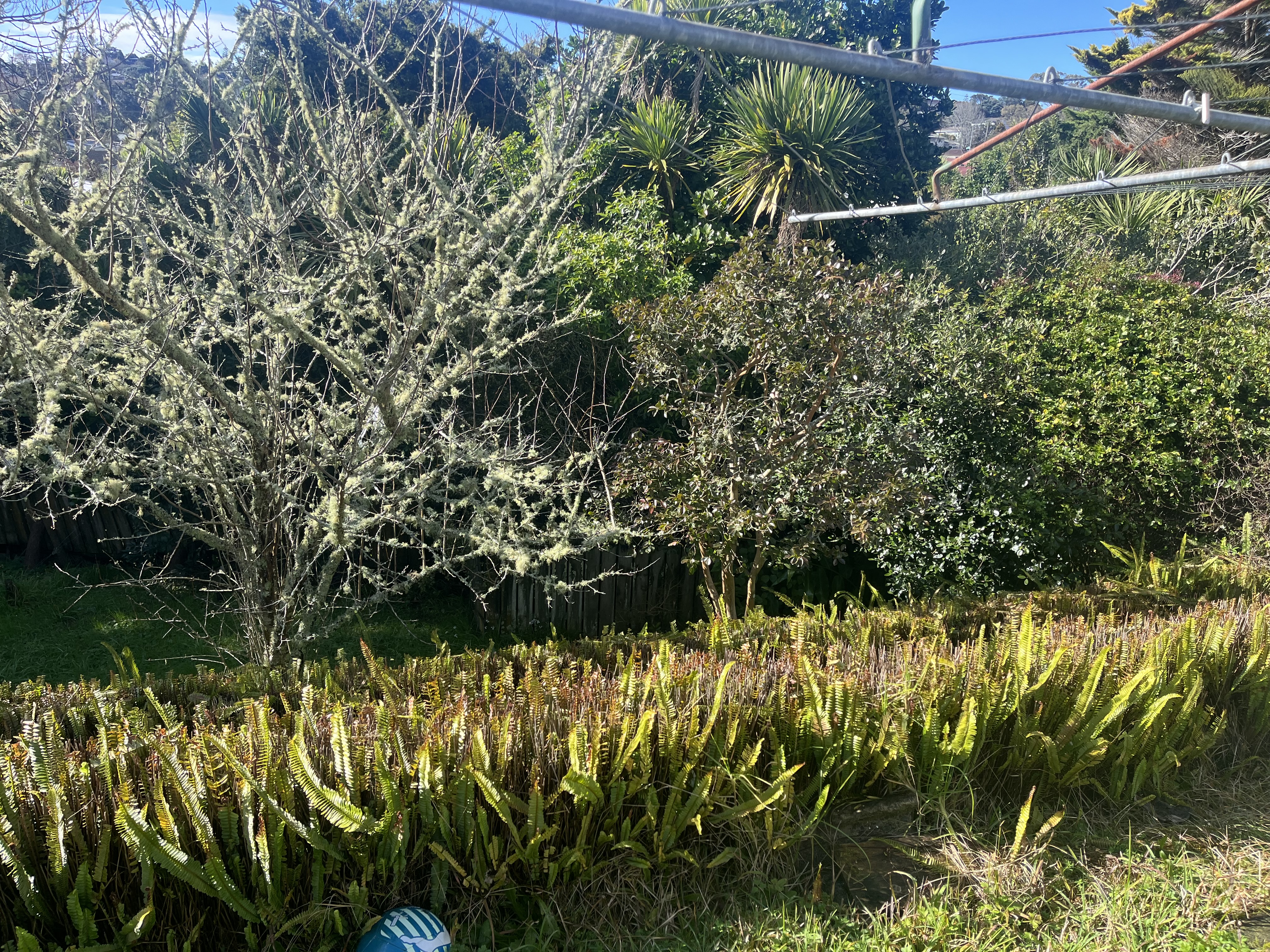 image-19