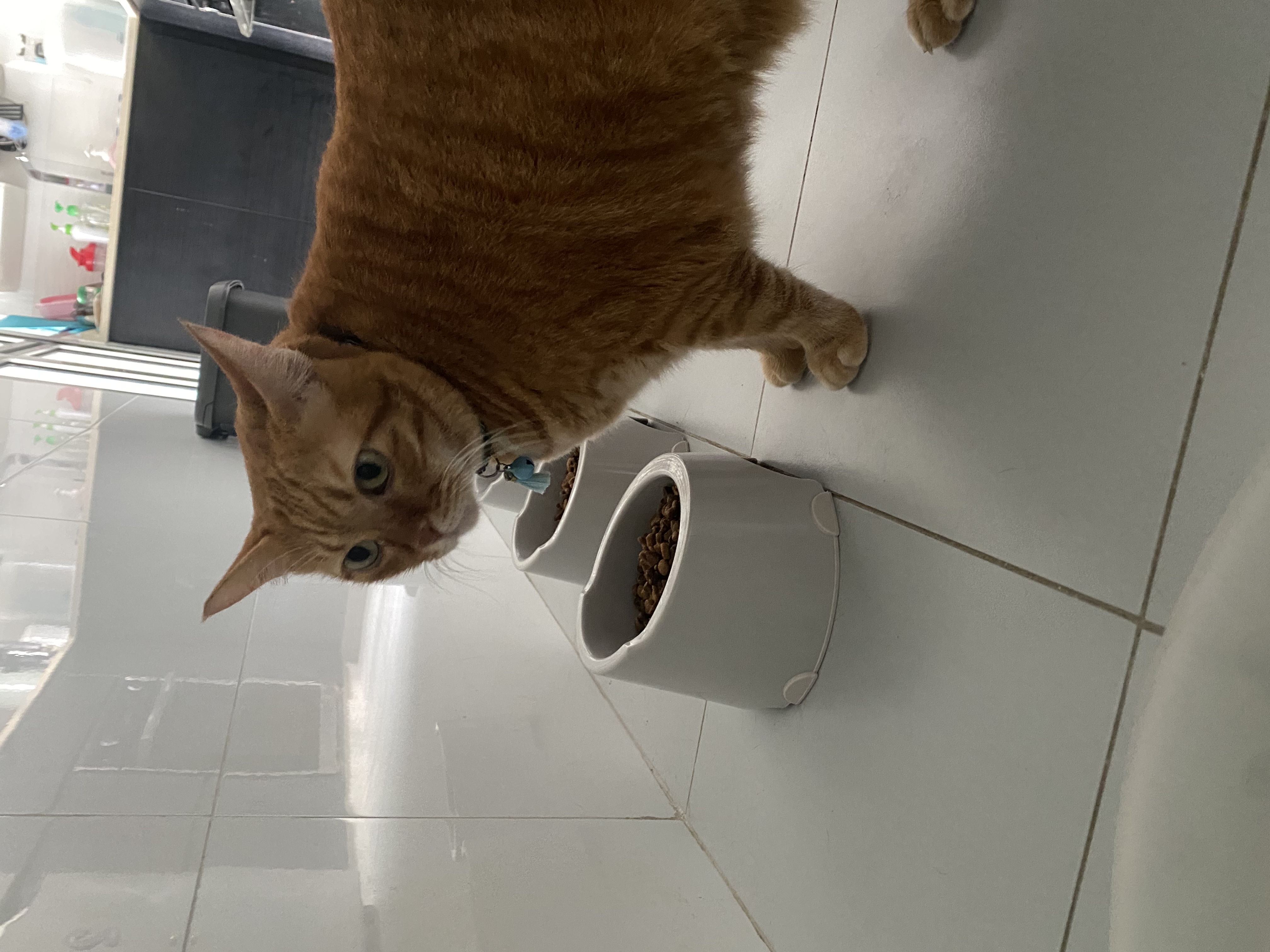 image-14