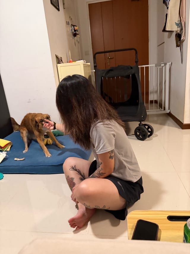 image-17