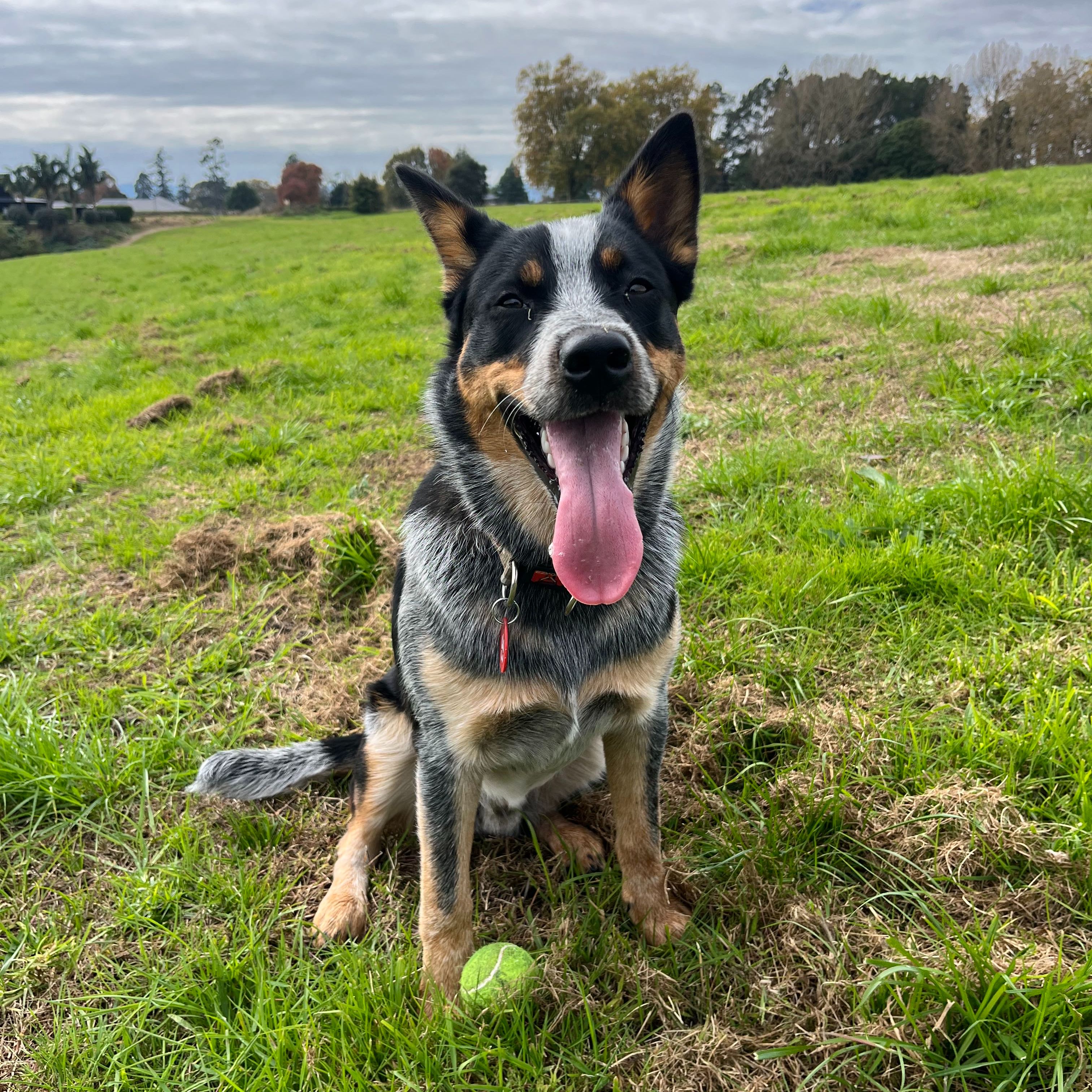 Billy