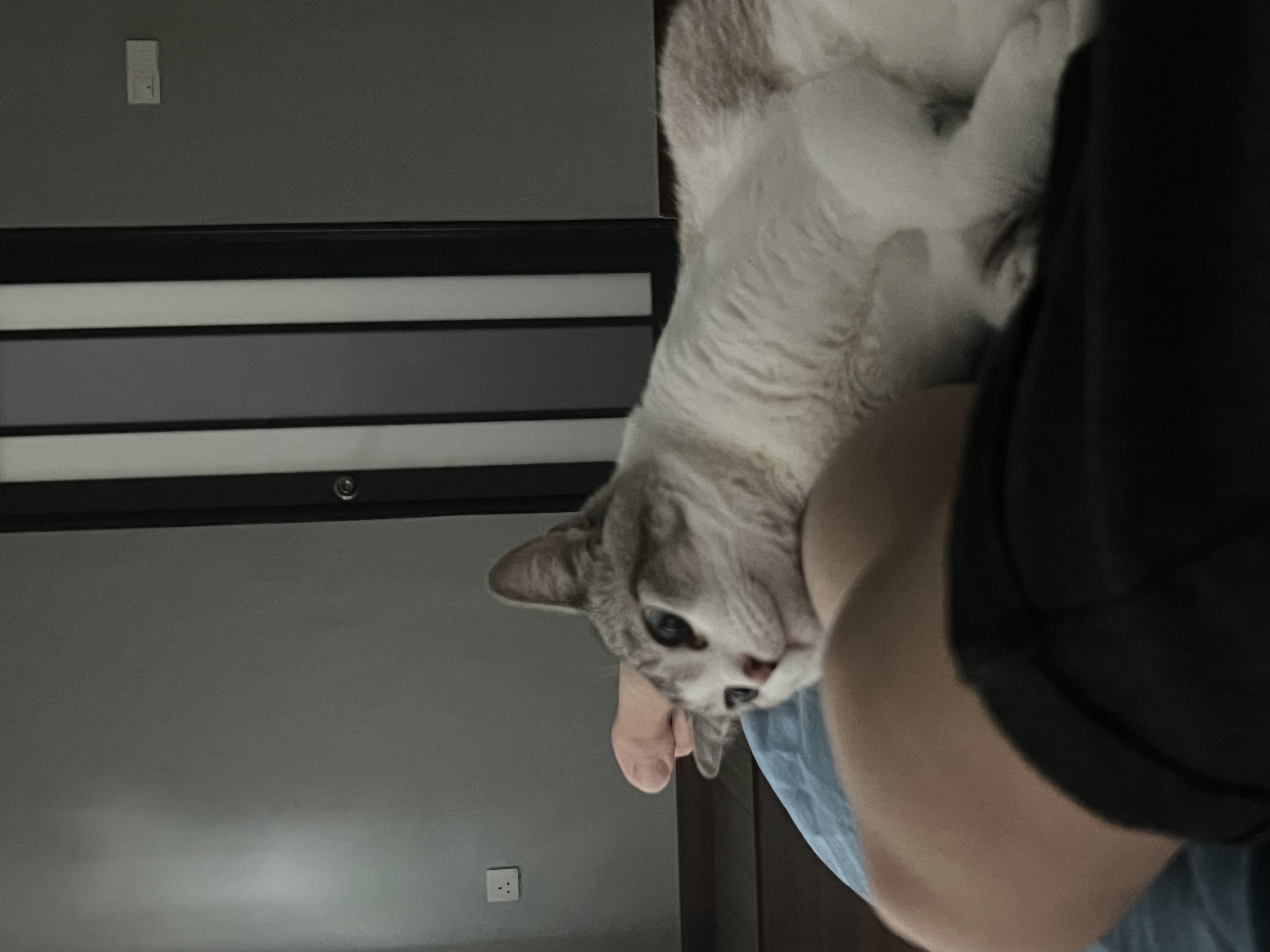 image-10