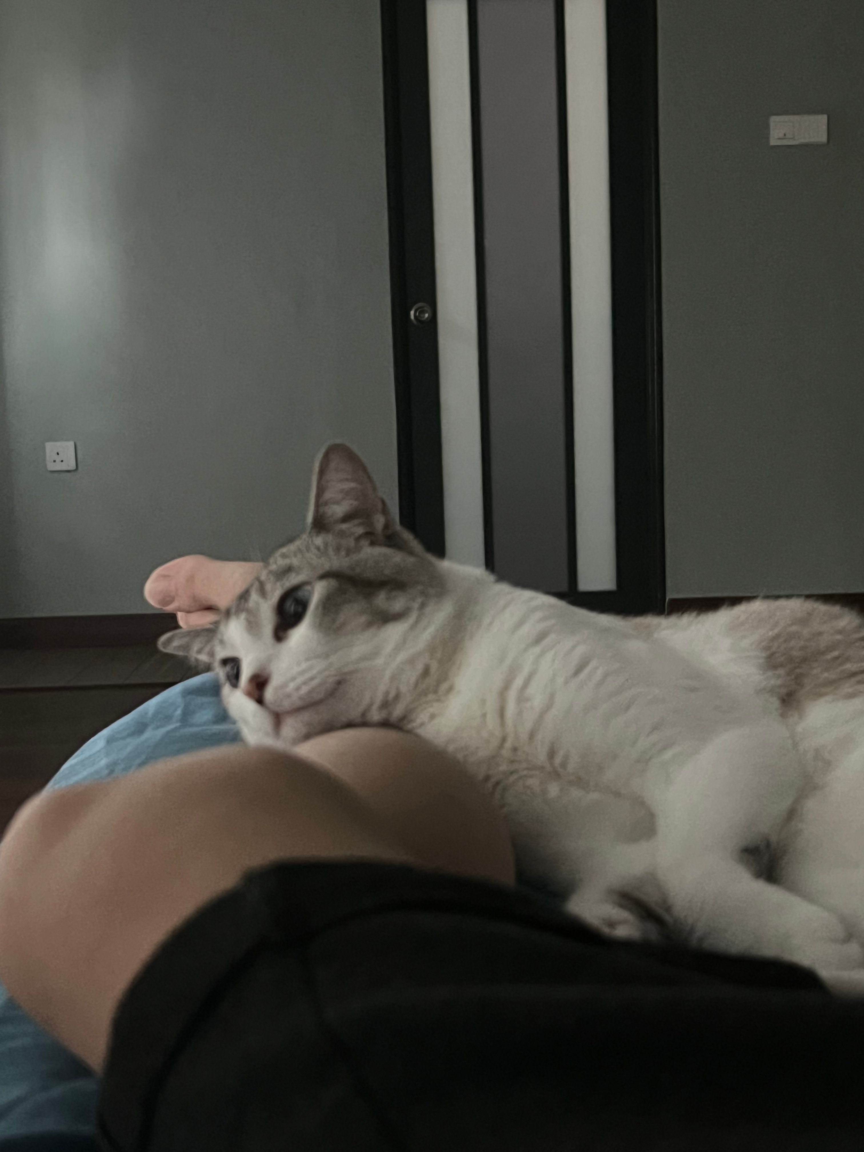image-10