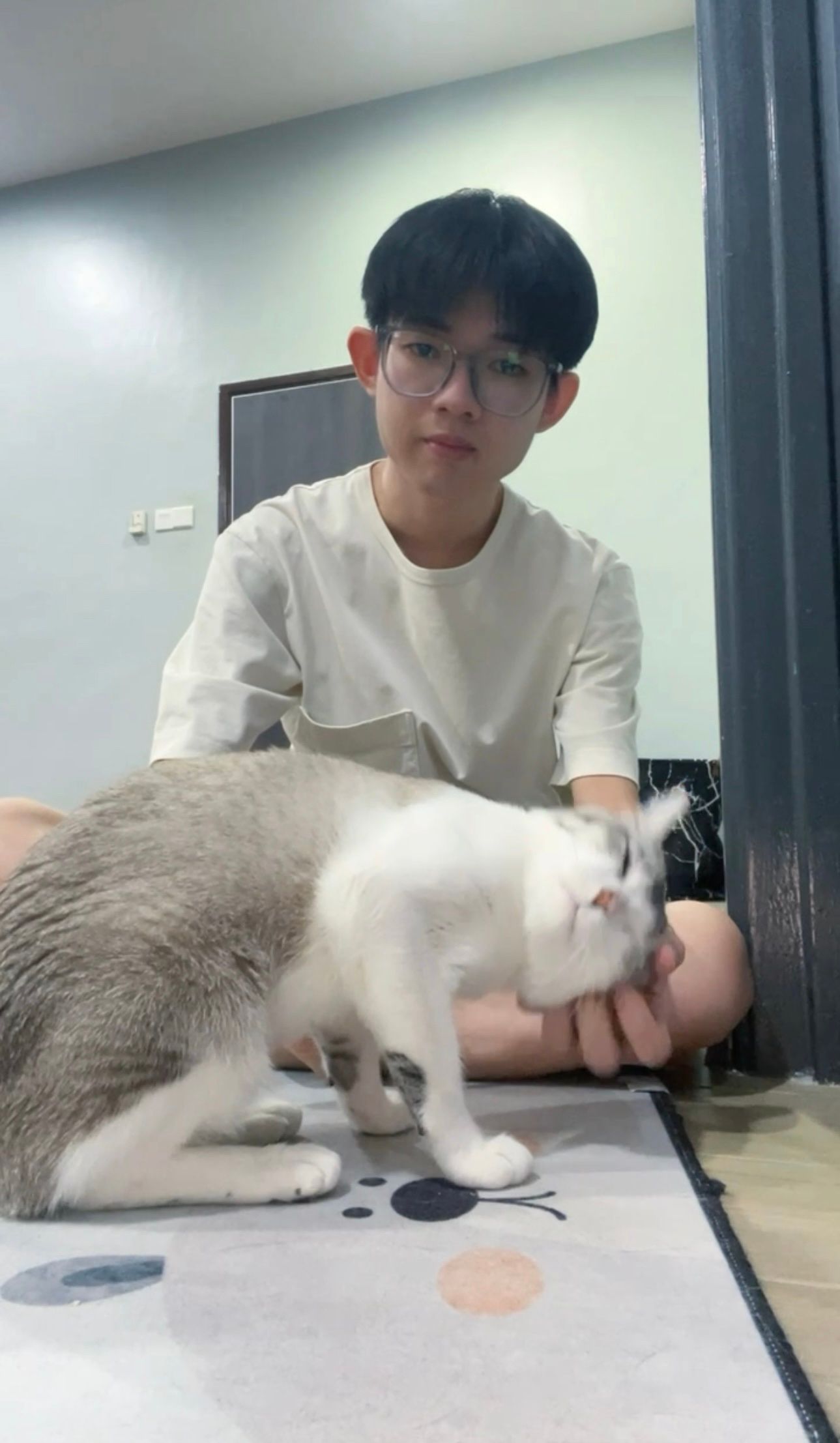 image-14