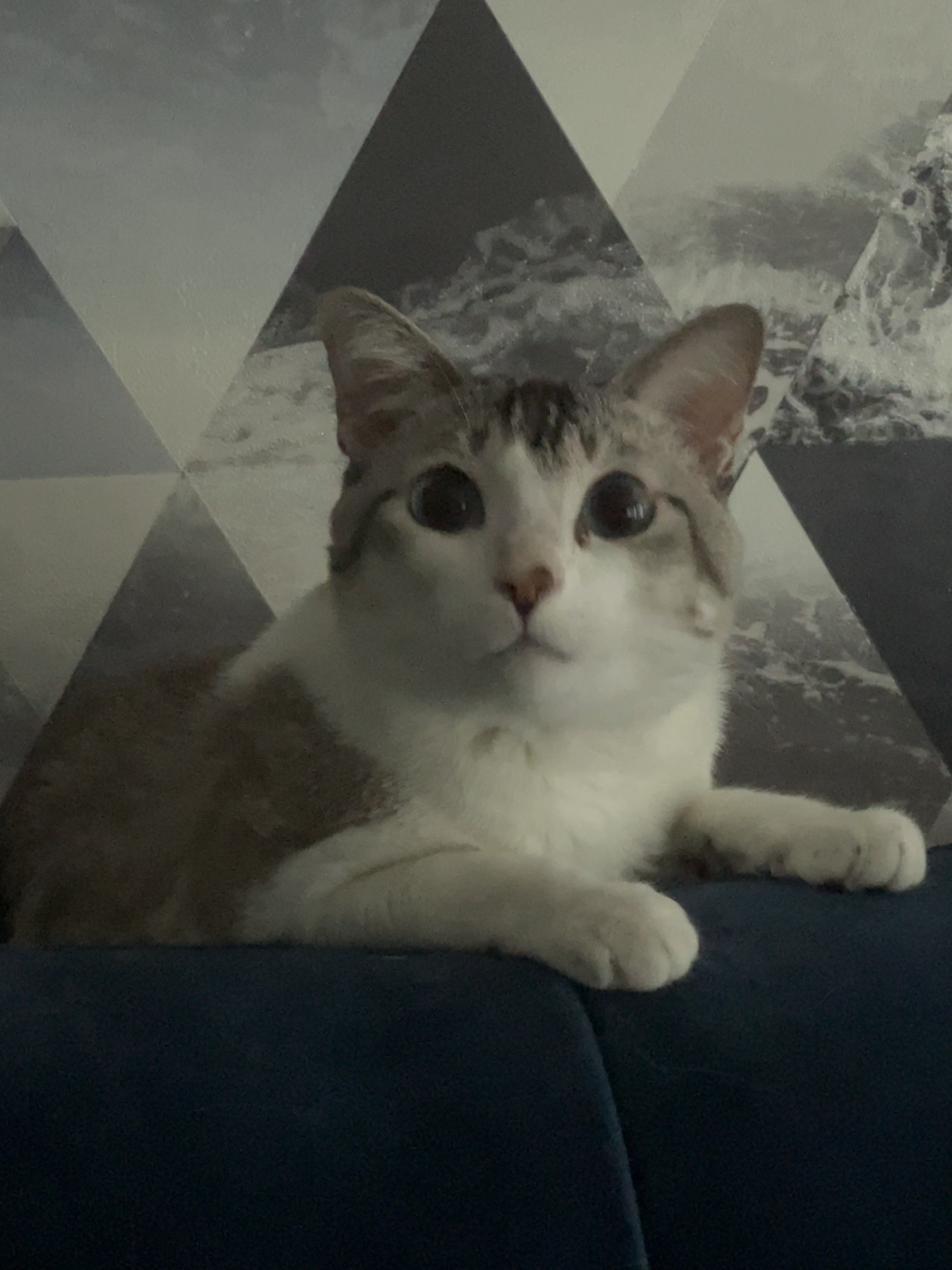 image-6