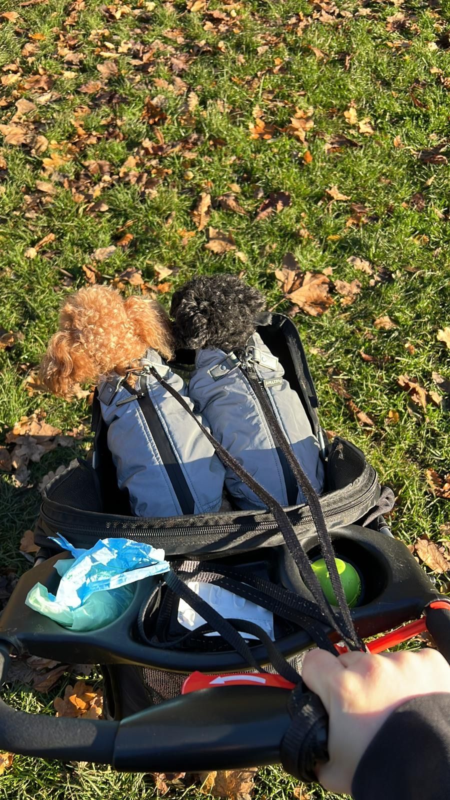 image-15
