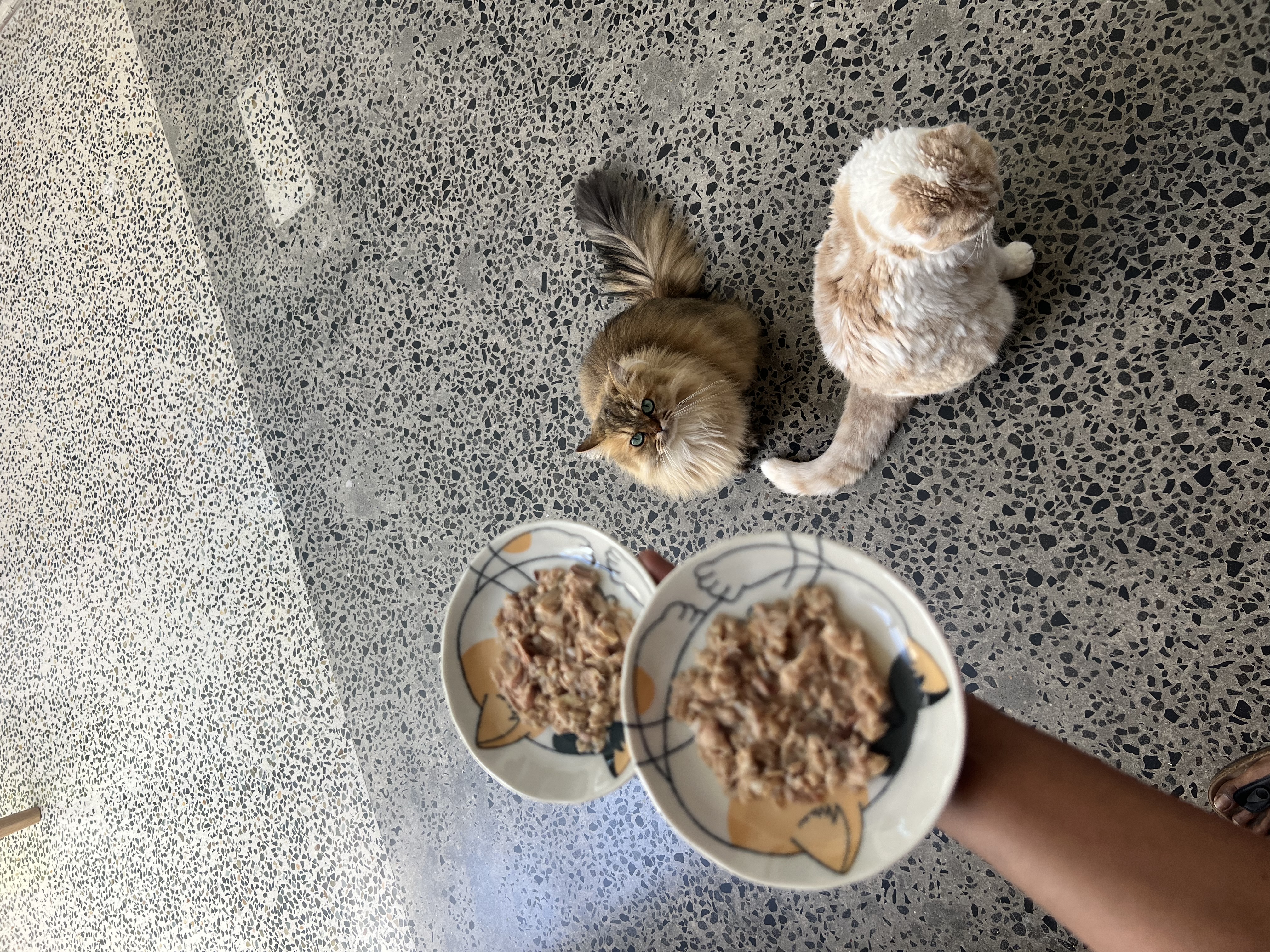 image-10