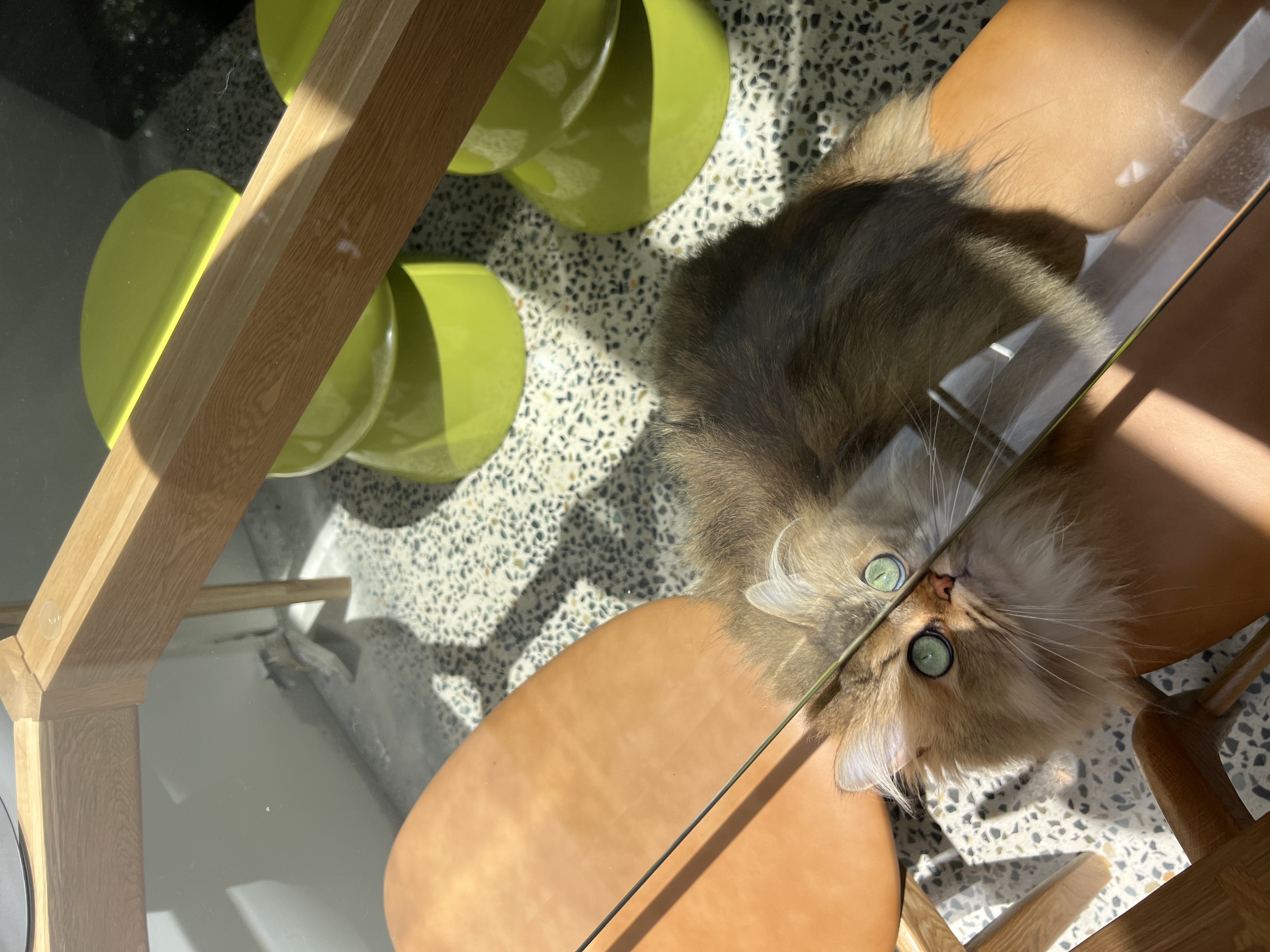 image-5