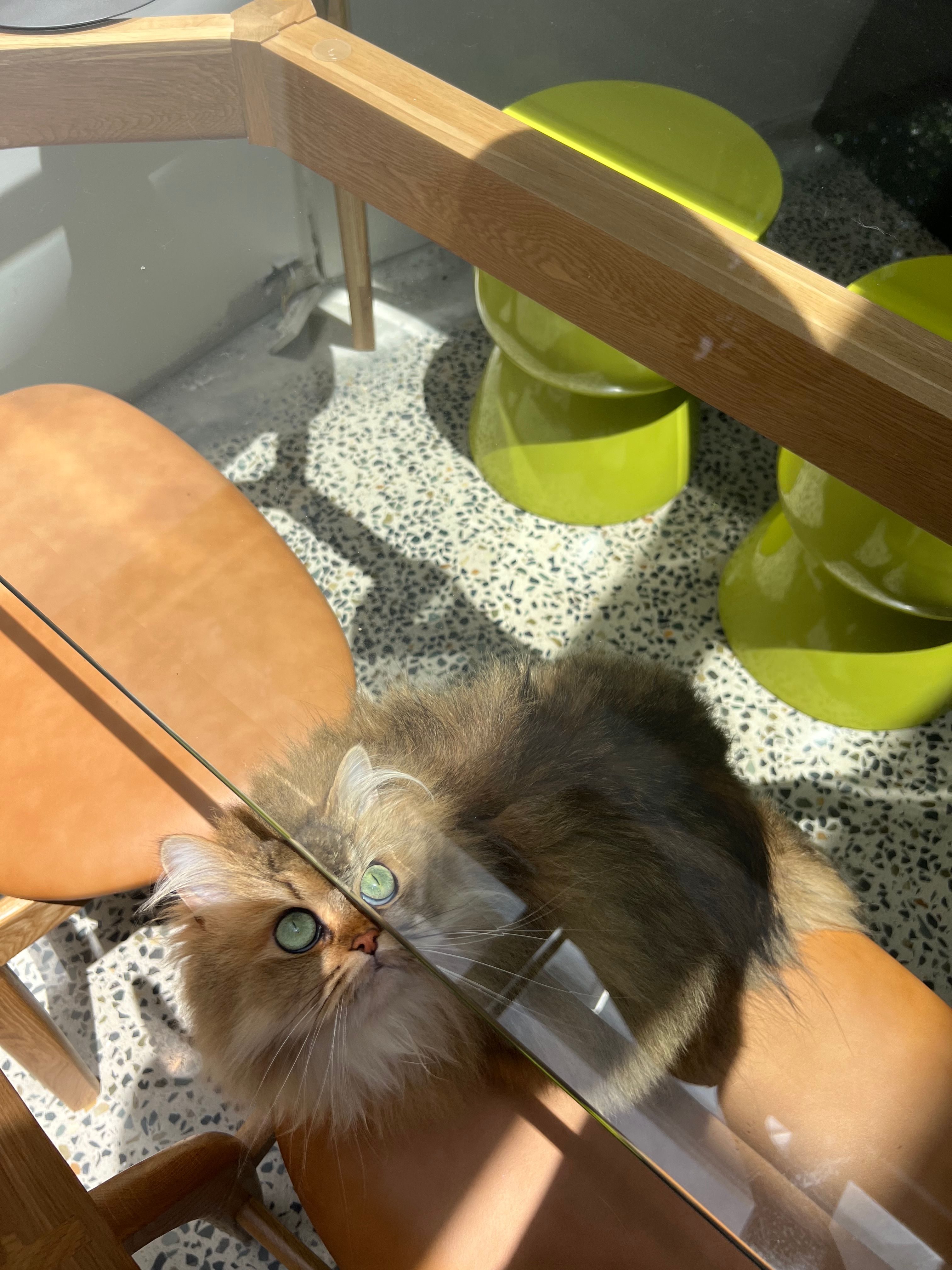 image-5