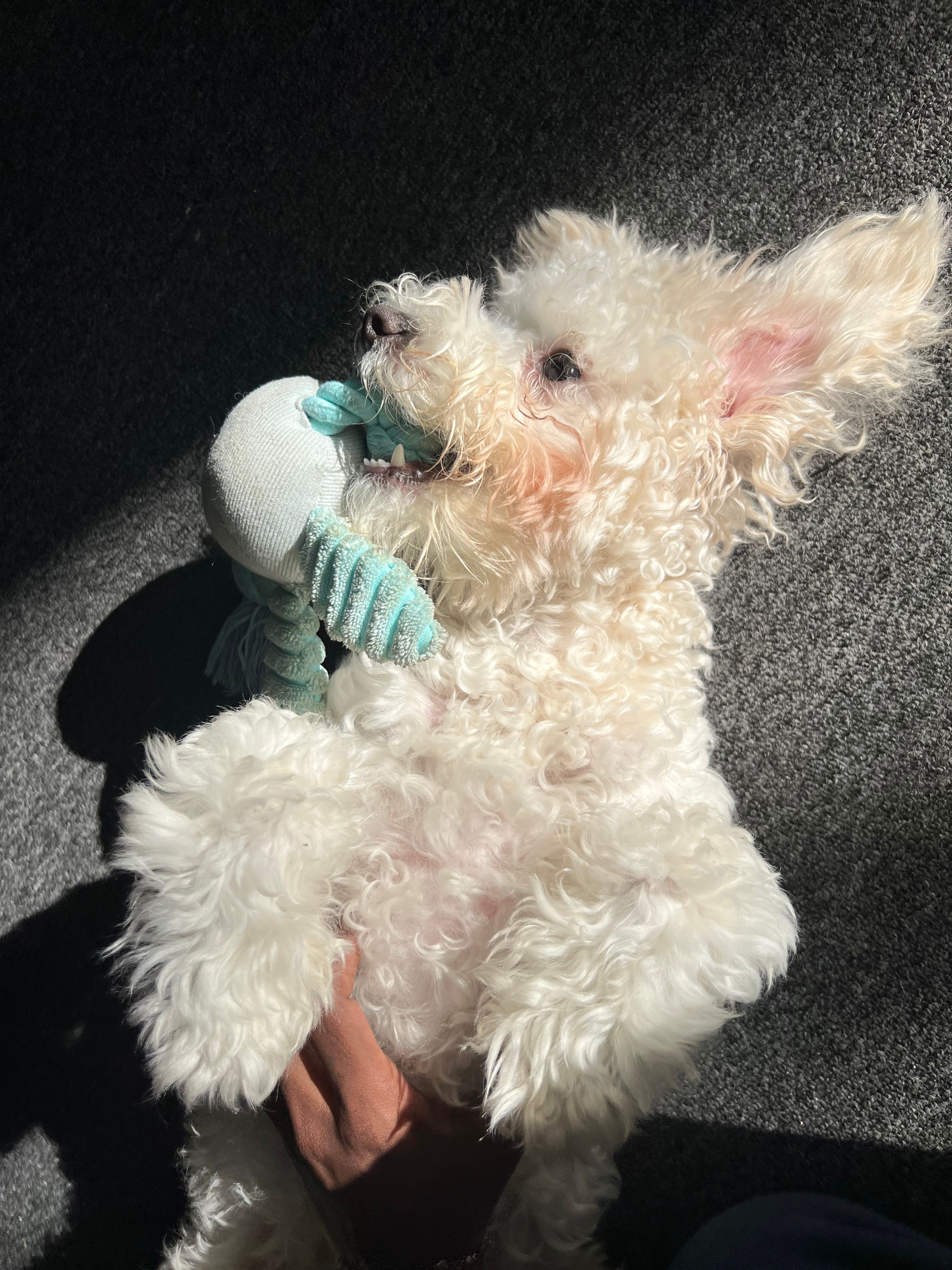 image-8