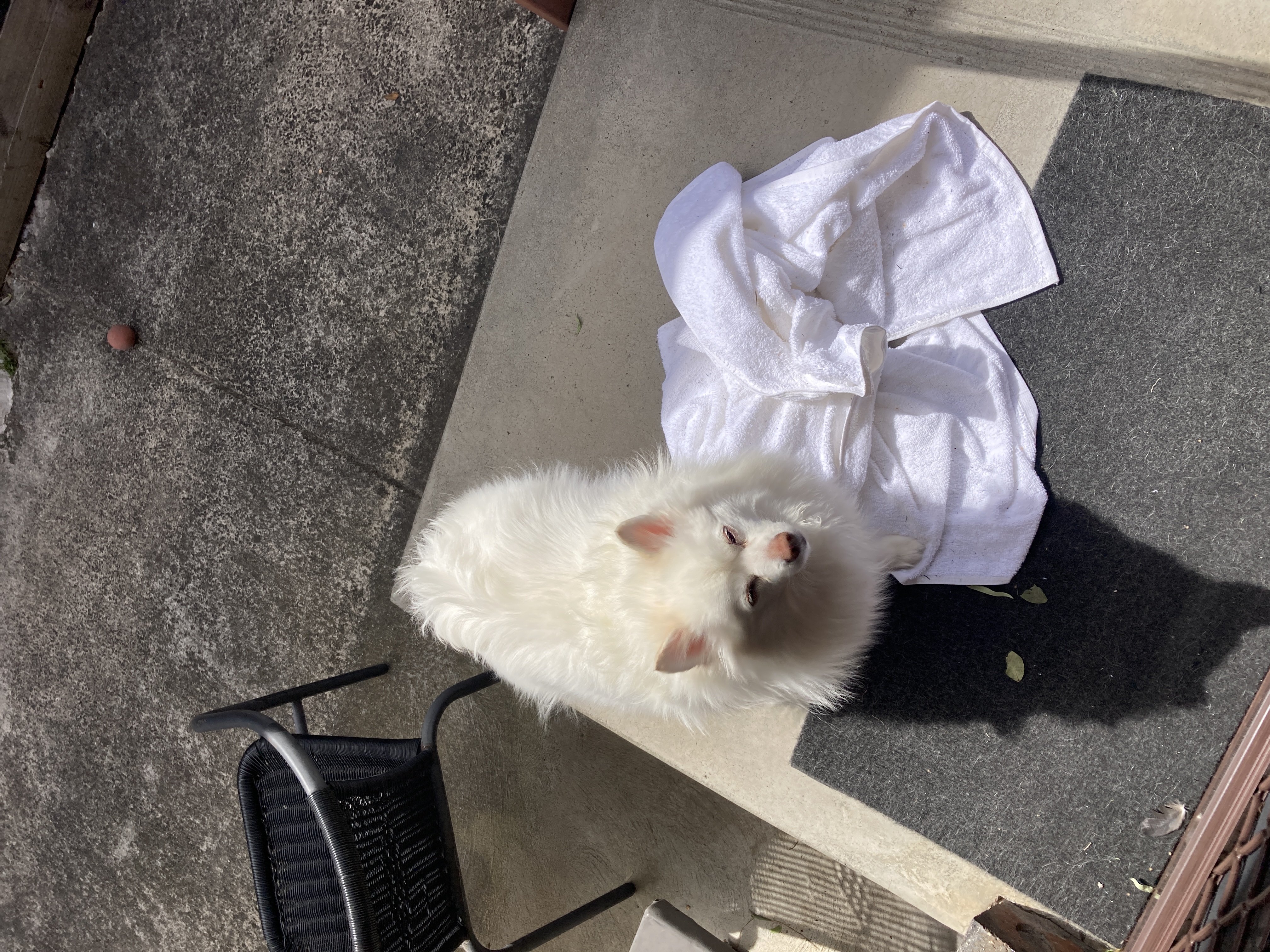 image-9