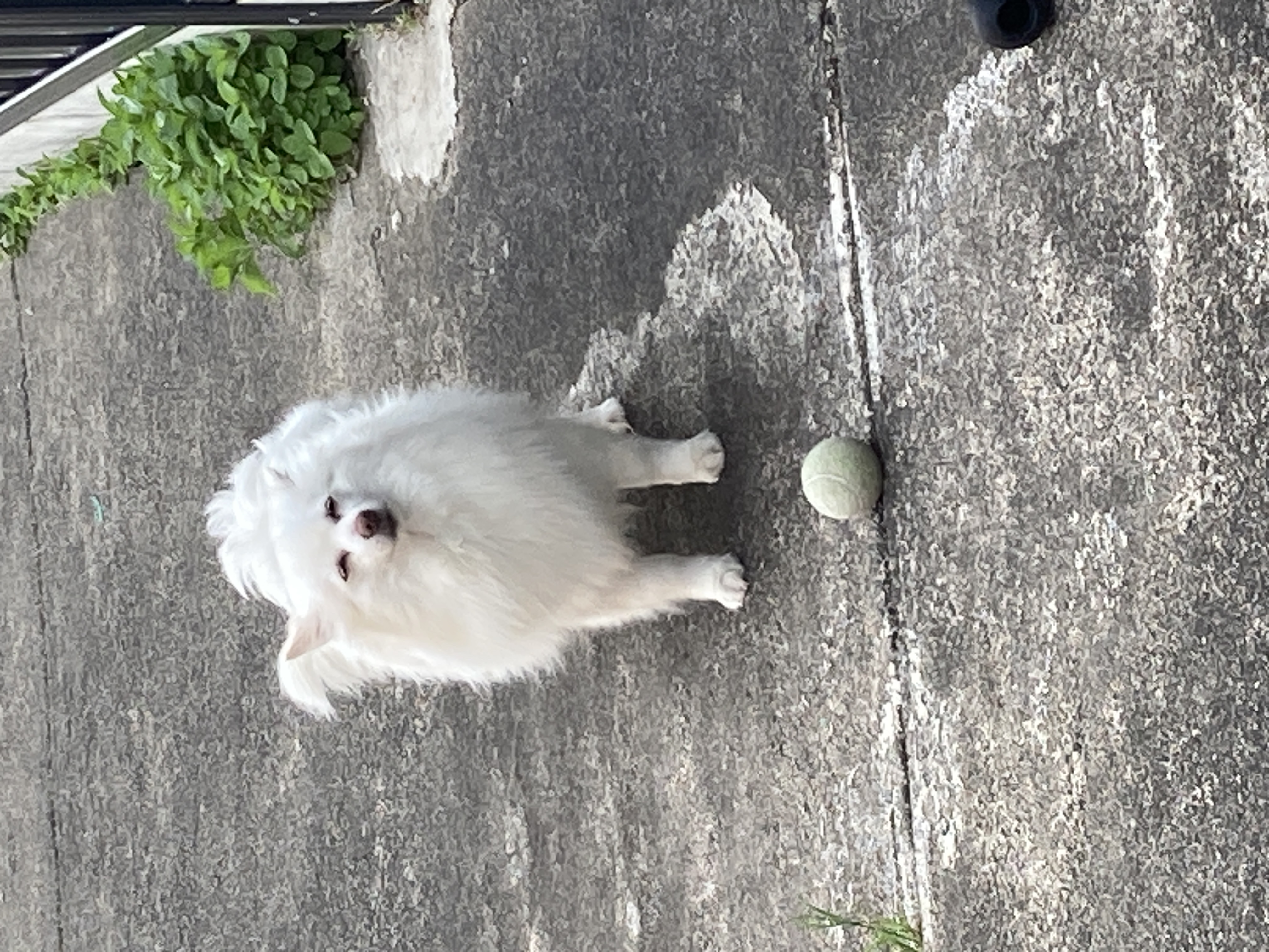 image-11